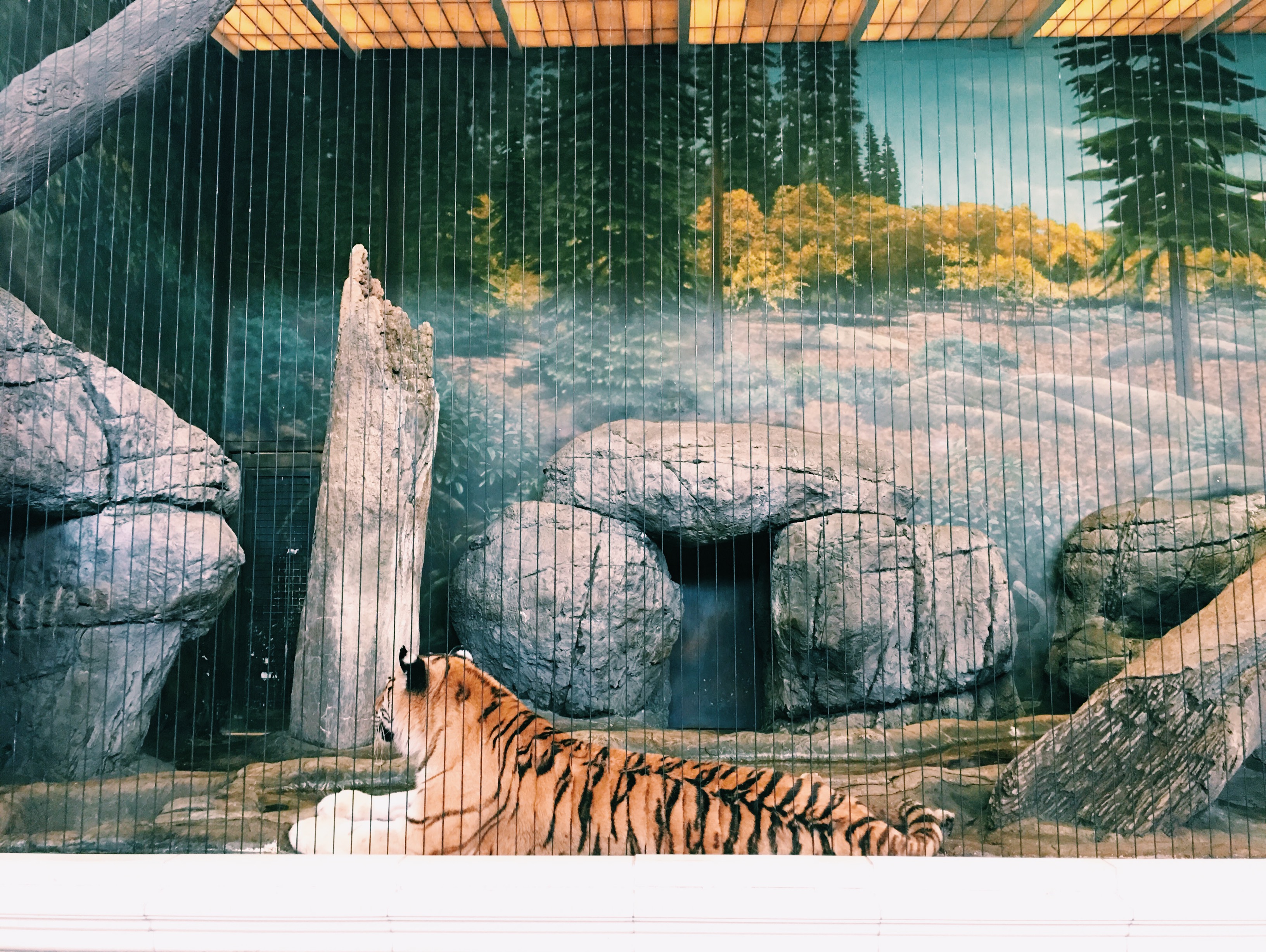 Processed with VSCO with c1 preset