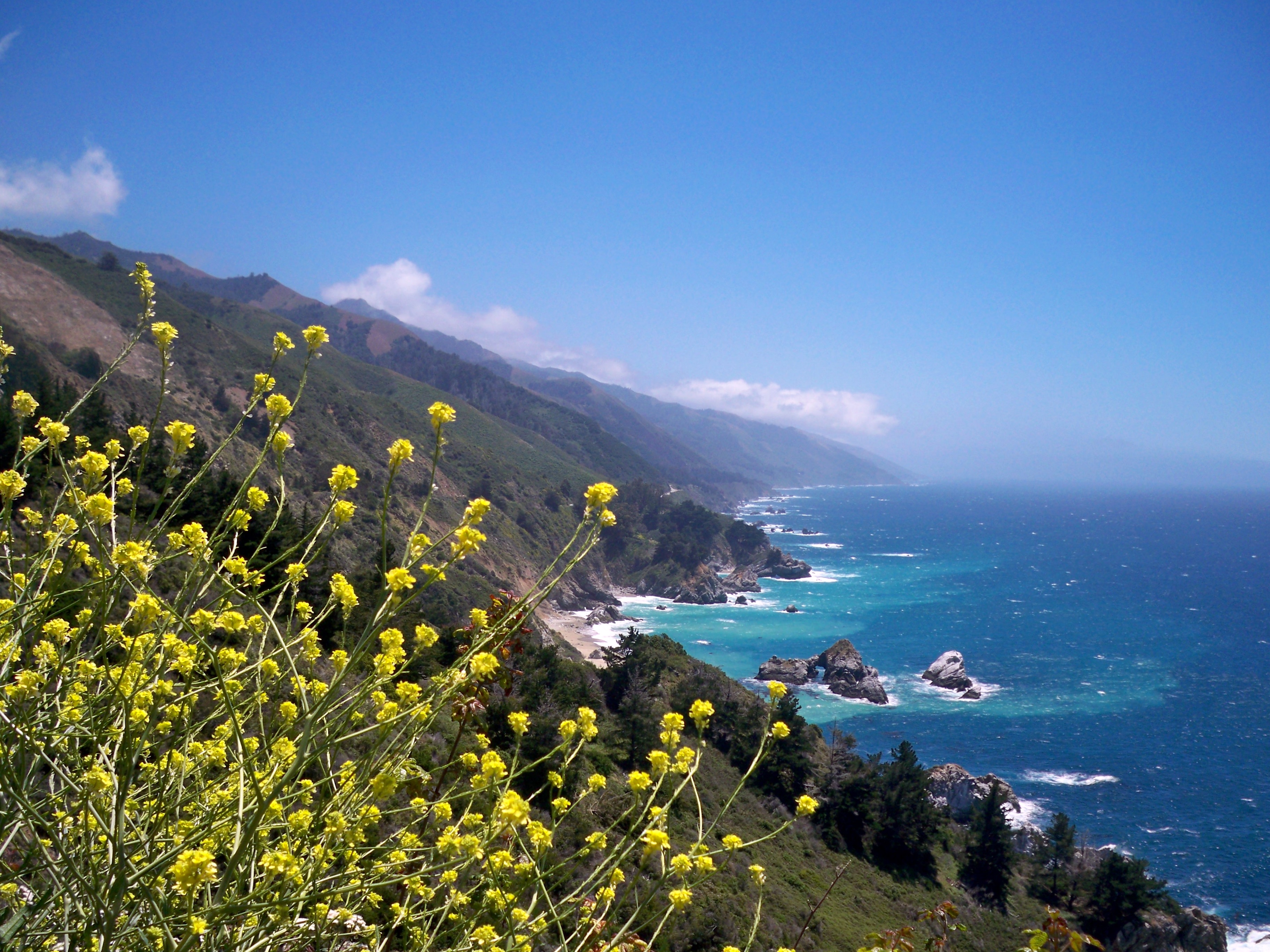 big_sur_coast_california