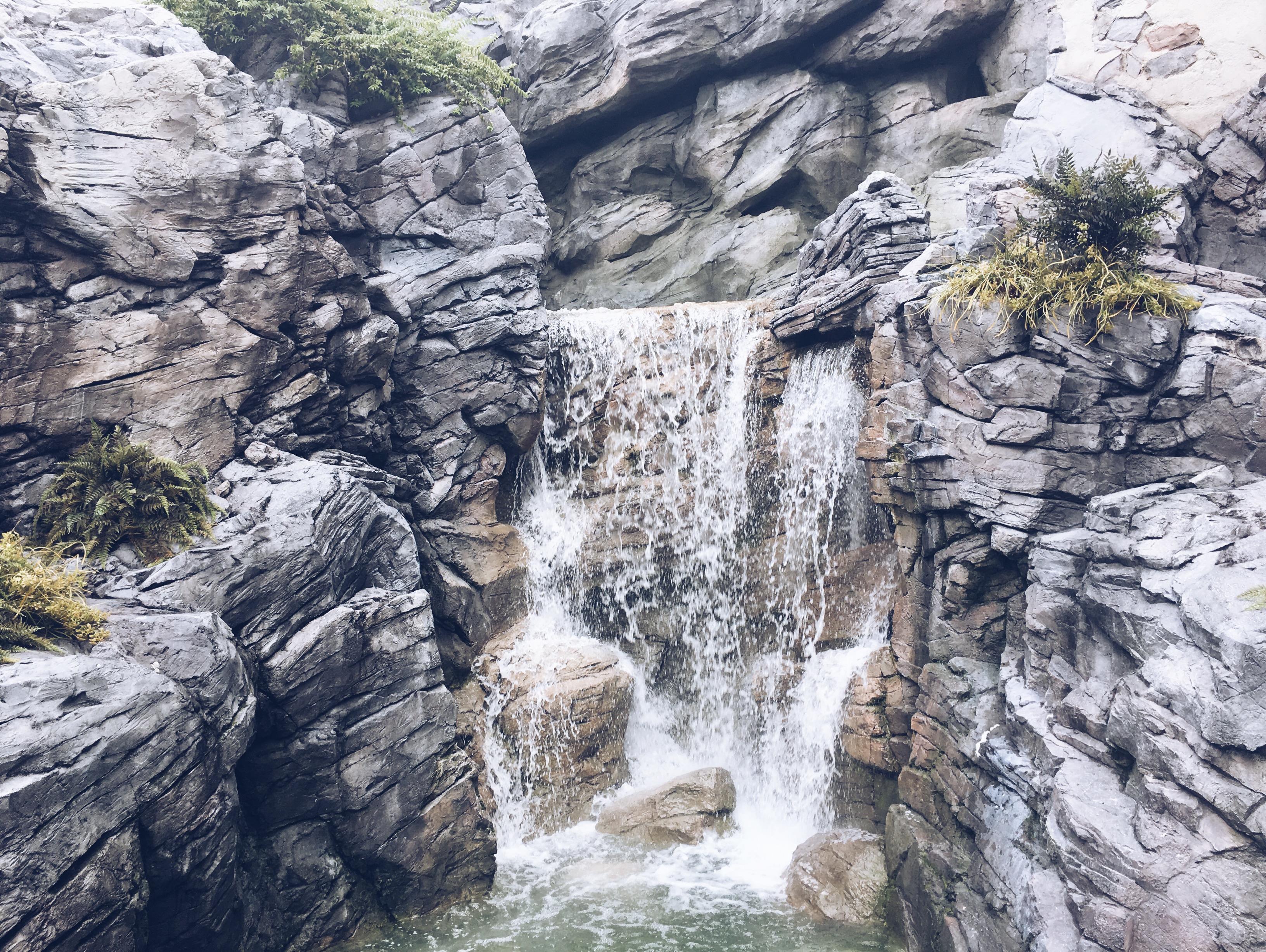 Processed with VSCO with a5 preset