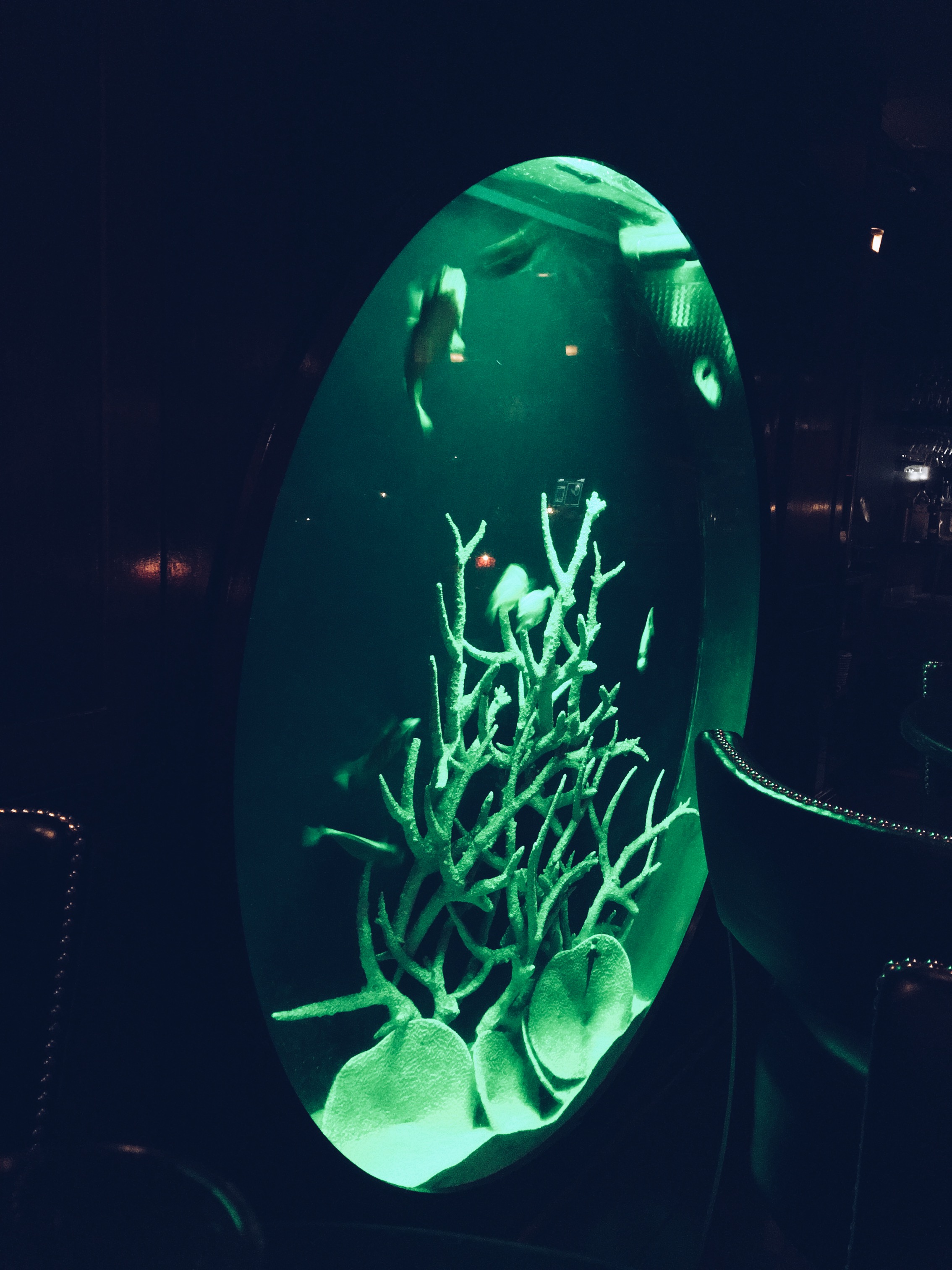 Processed with VSCO with a5 preset