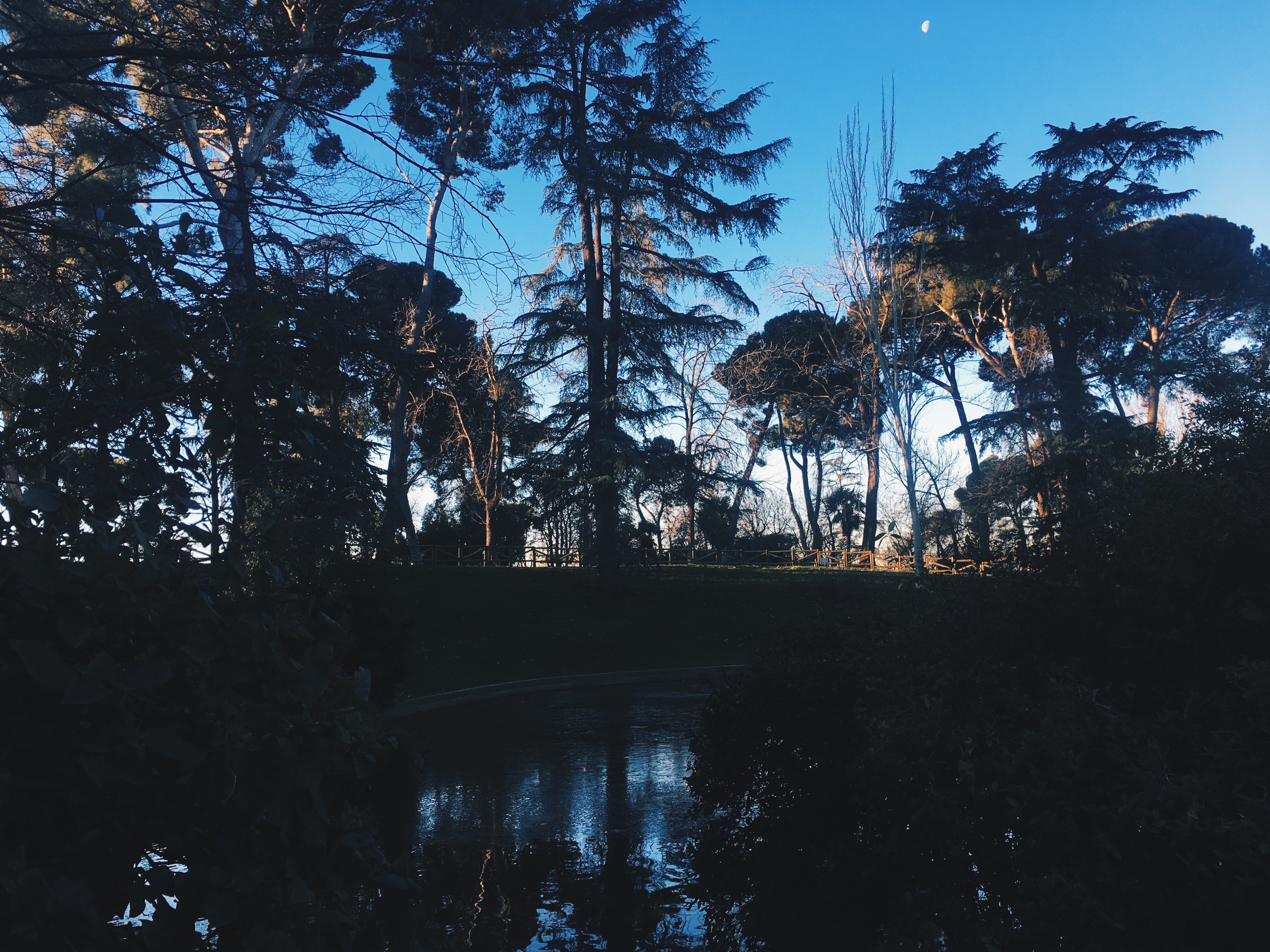 Processed with VSCO with hb2 preset