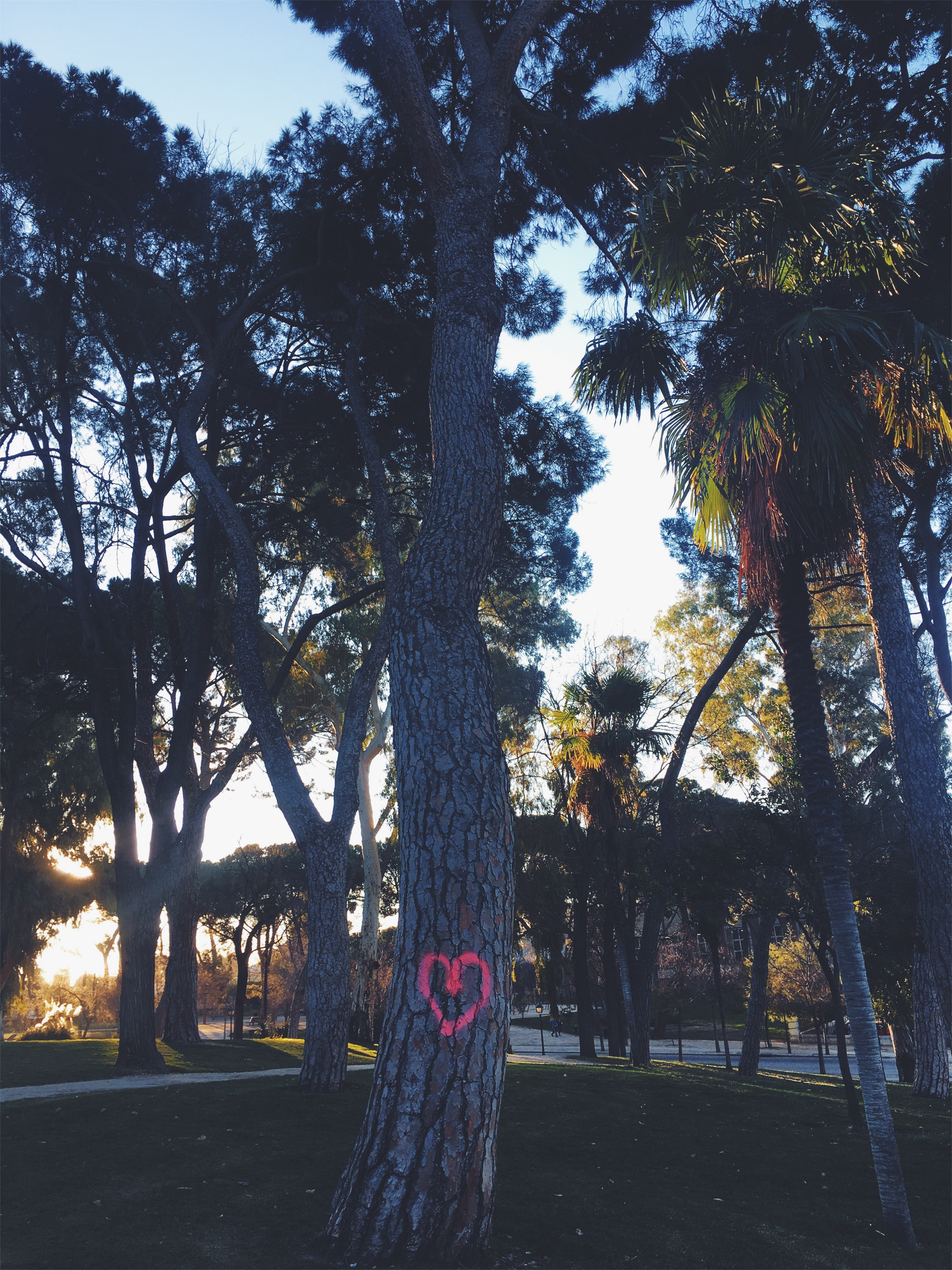 Processed with VSCO with f2 preset