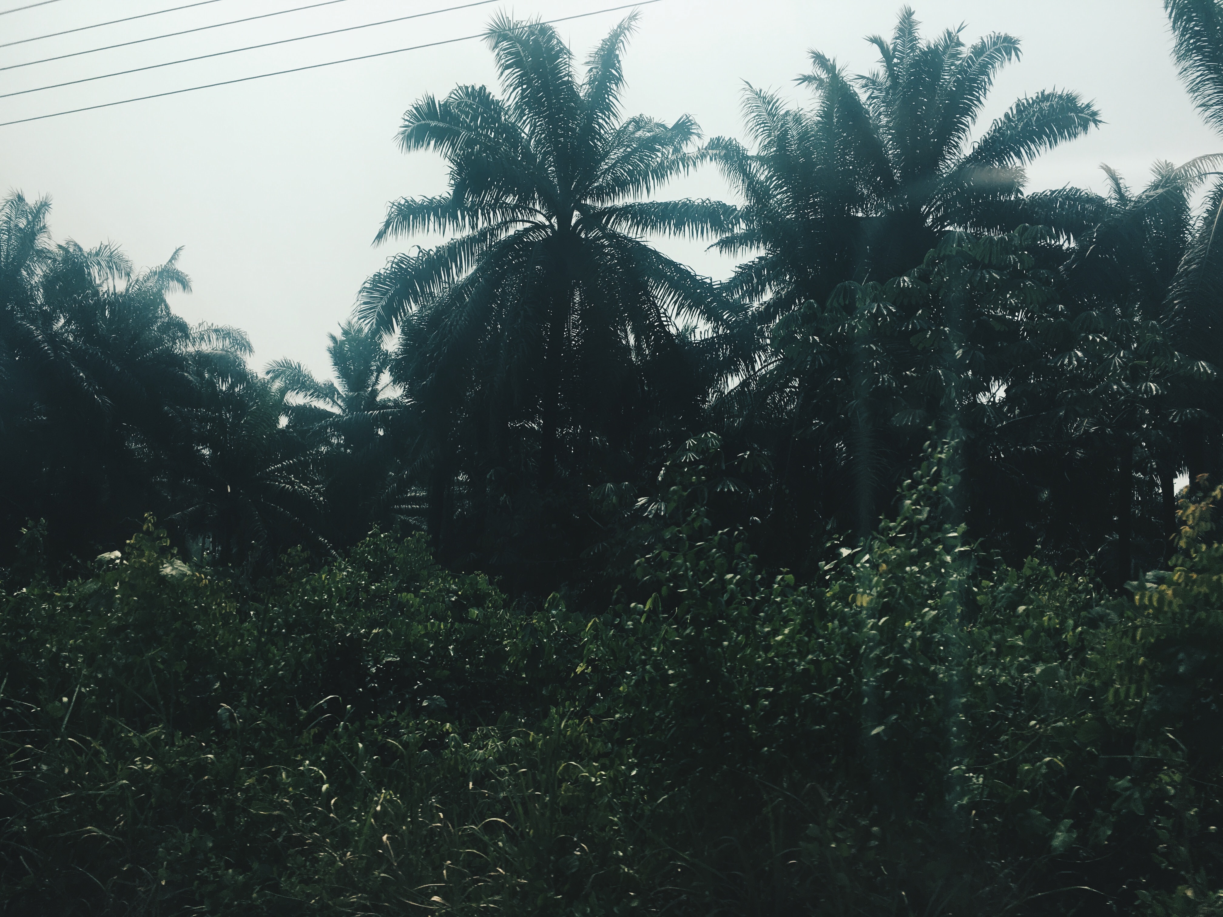 Processed with VSCO with hb2 preset