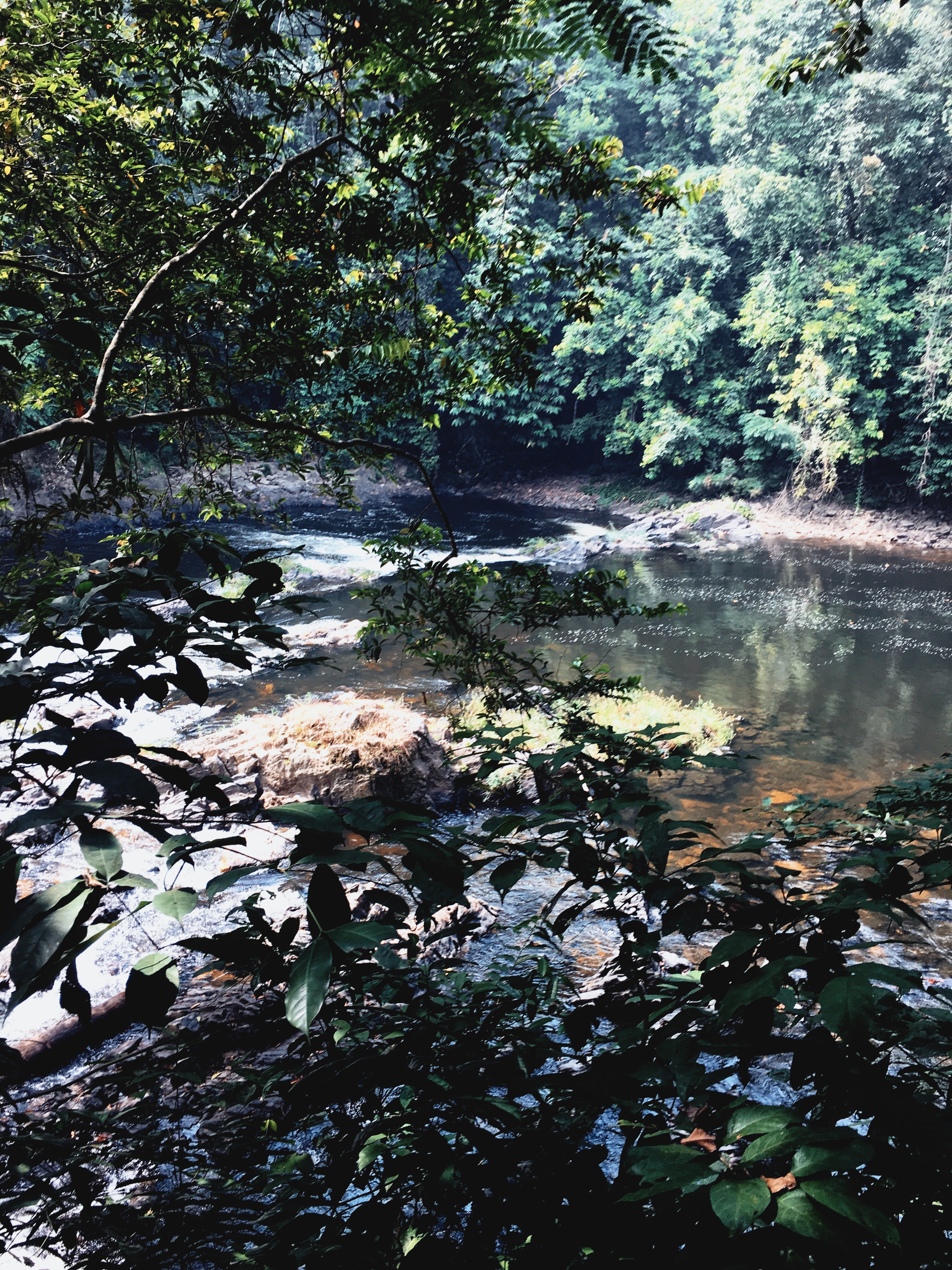 Processed with VSCO with jm1 preset