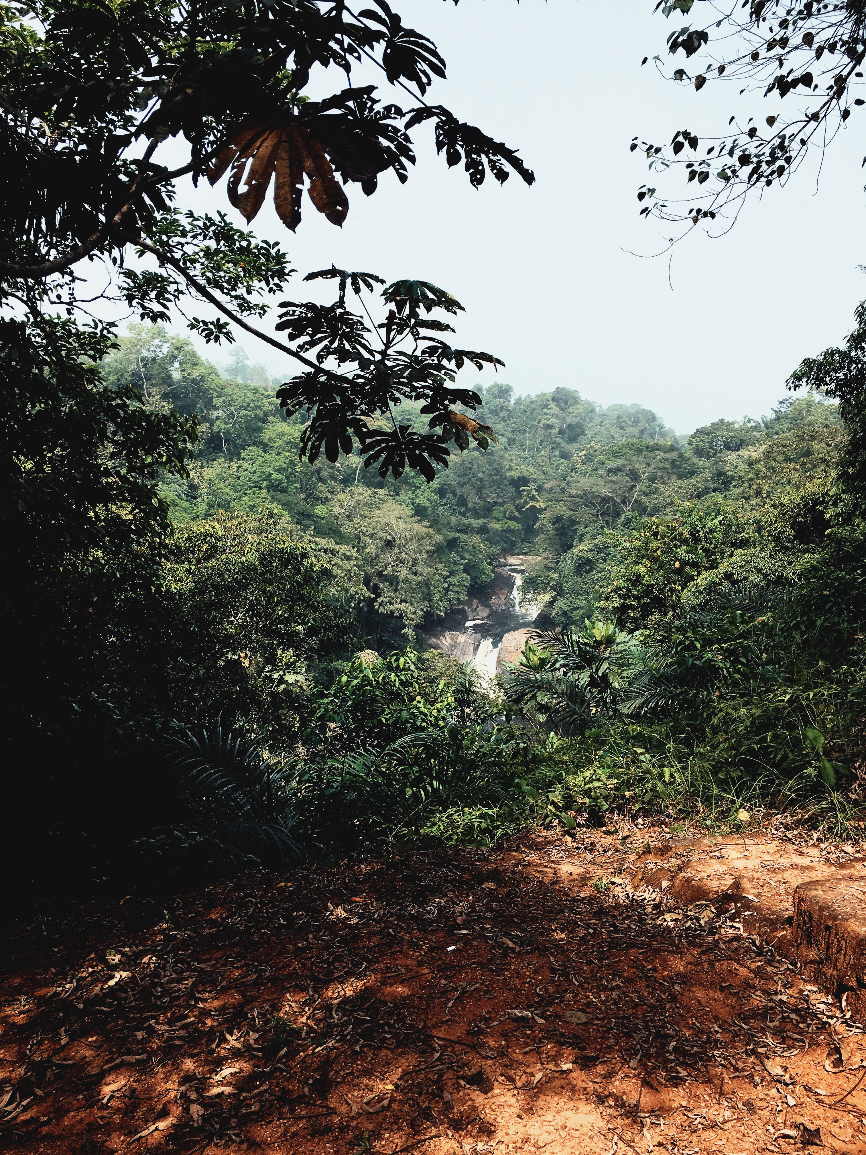Processed with VSCO with jm1 preset