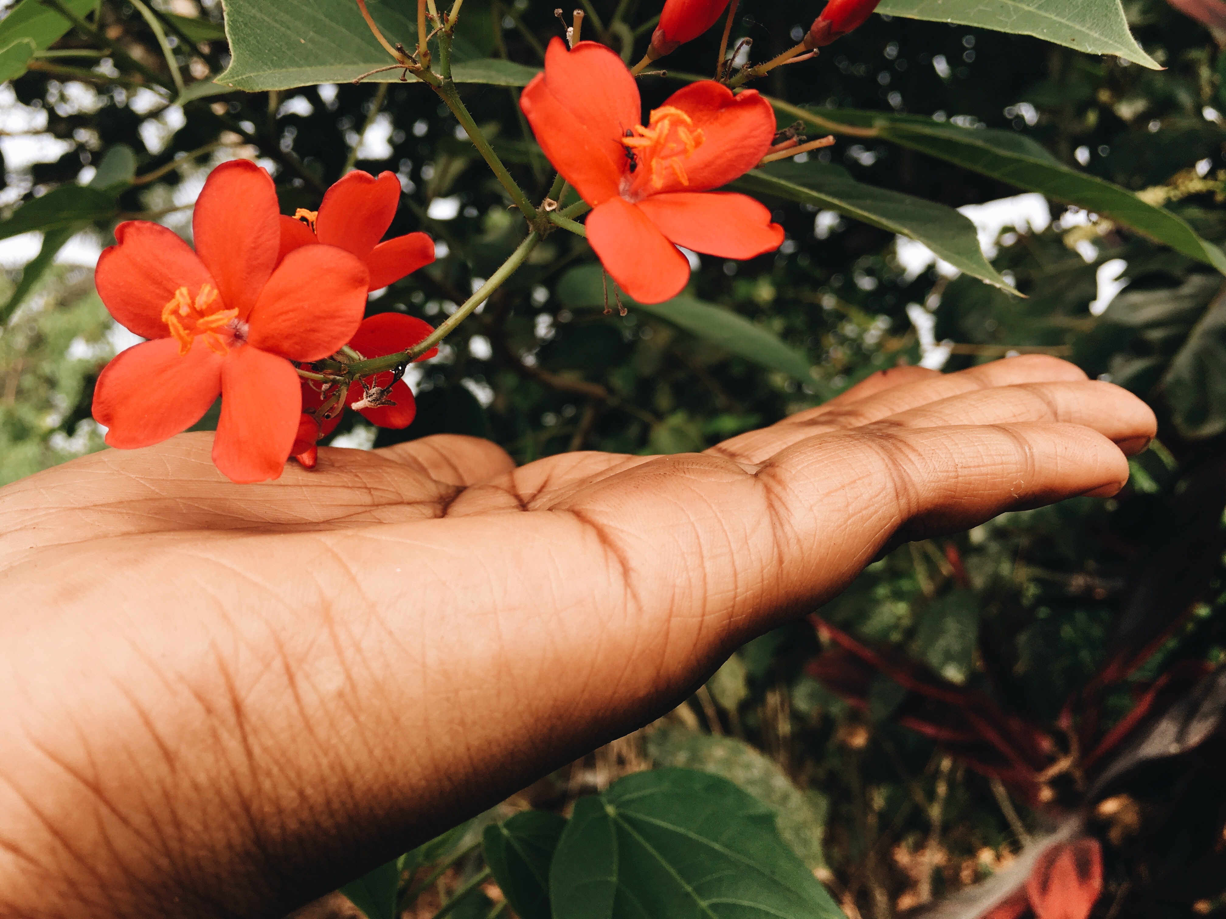 Processed with VSCO with a6 preset