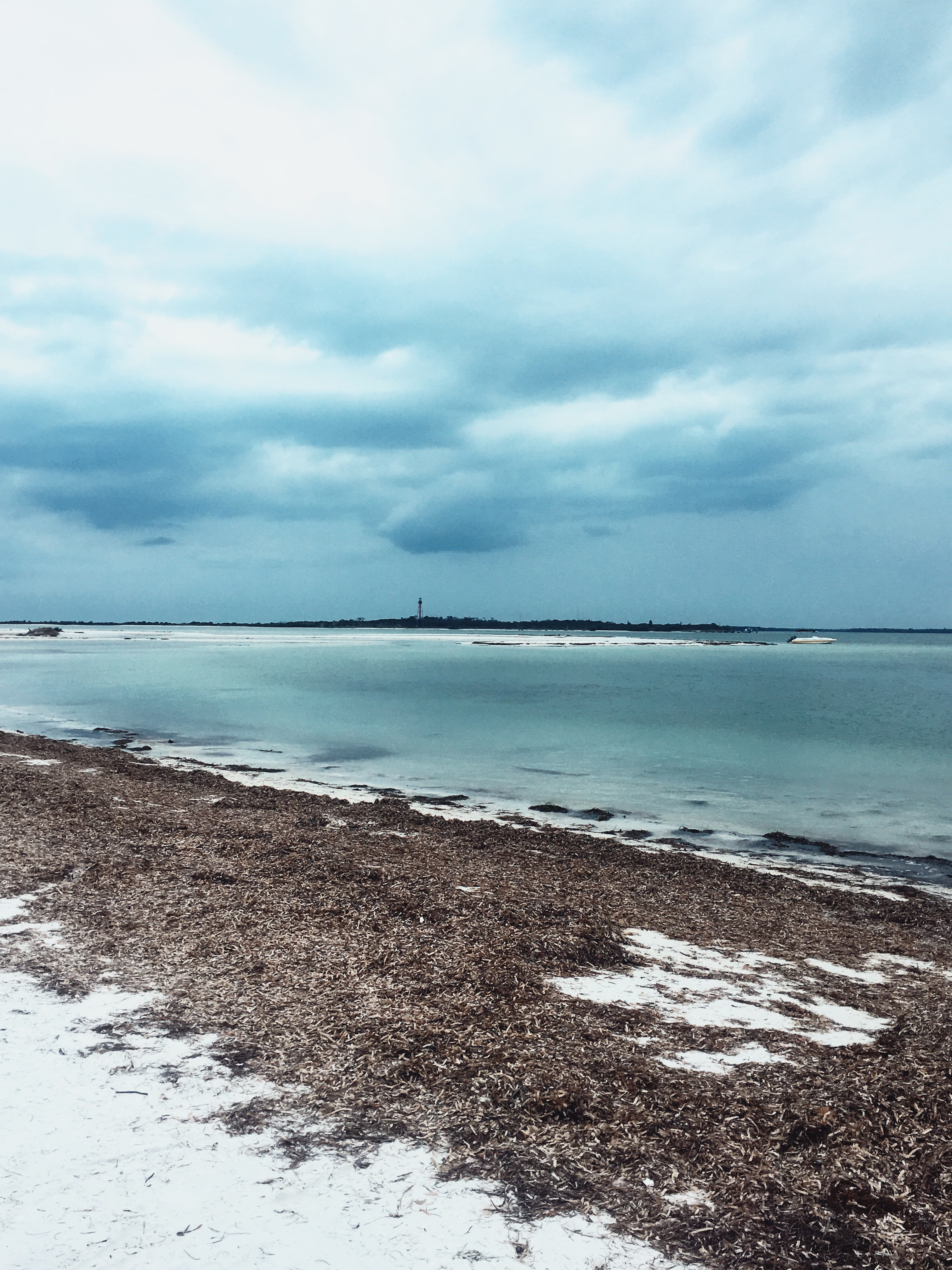 Processed with VSCO with jm1 preset