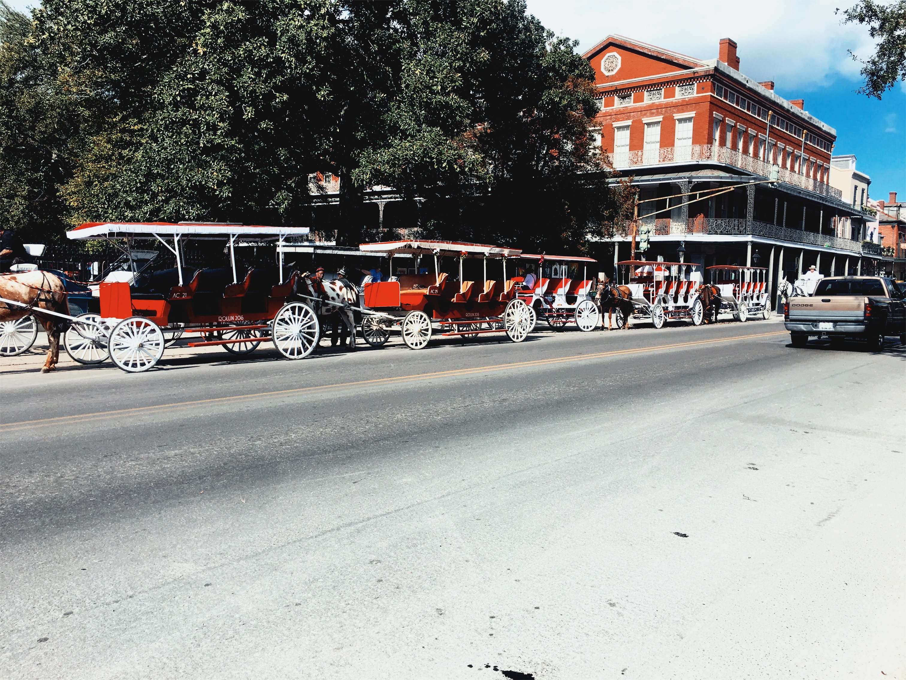 Processed with VSCO with jm1 preset