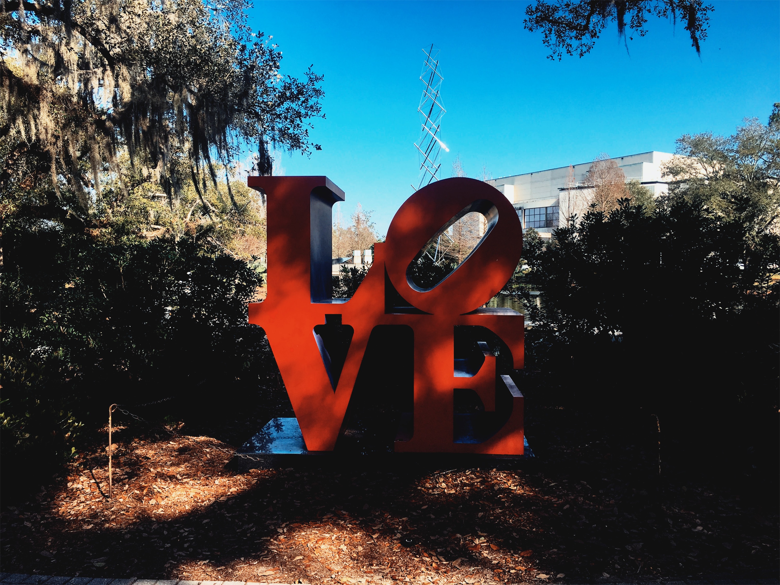 Processed with VSCO with jm1 preset