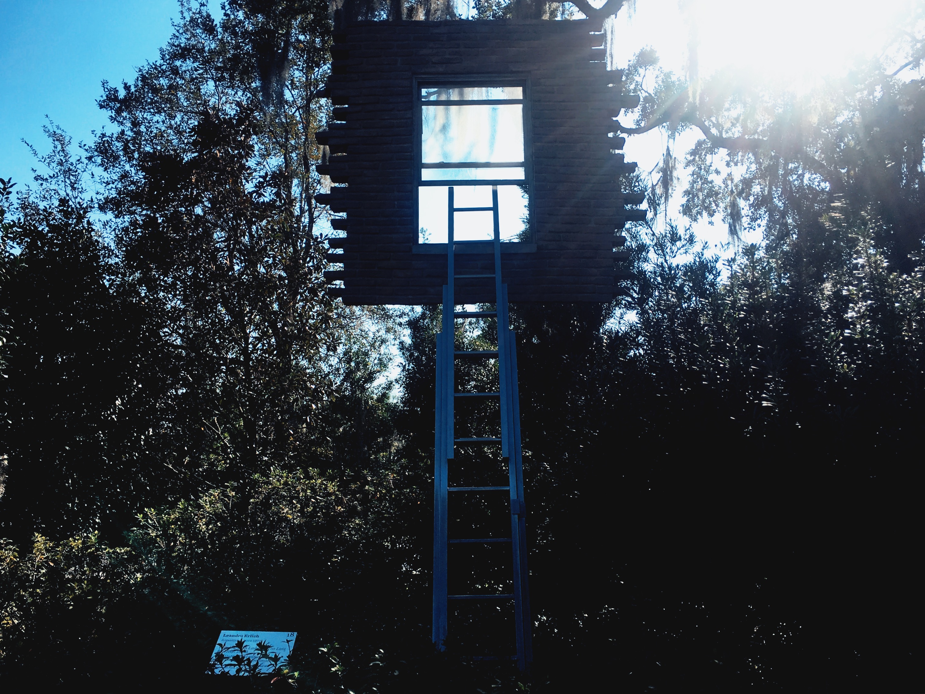 Processed with VSCO with jm1 preset