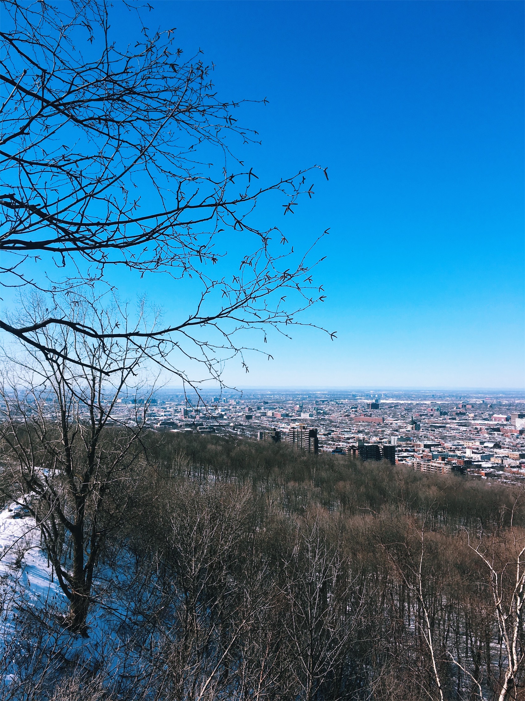 Processed with VSCO with k3 preset