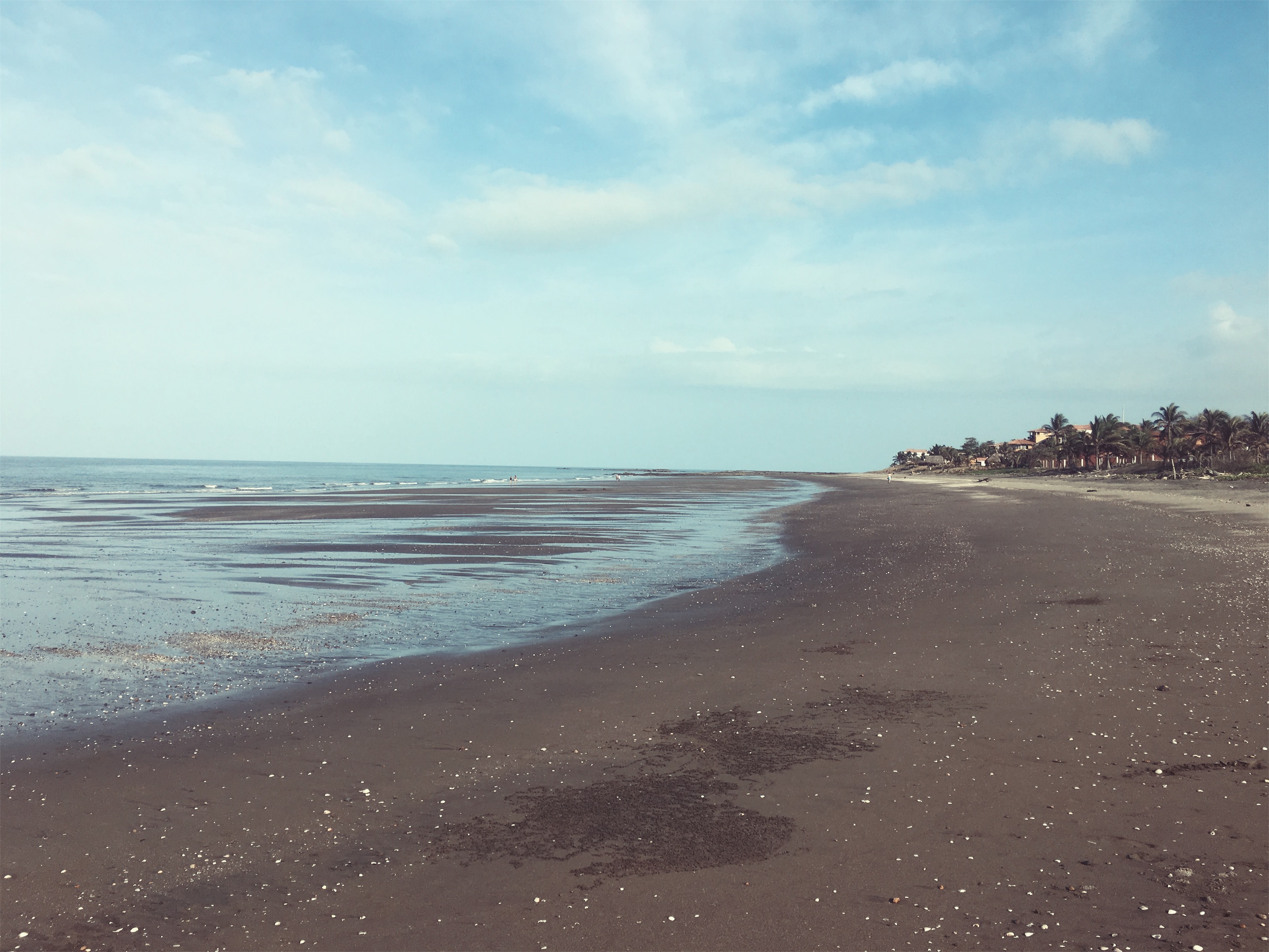 Processed with VSCO with acg preset