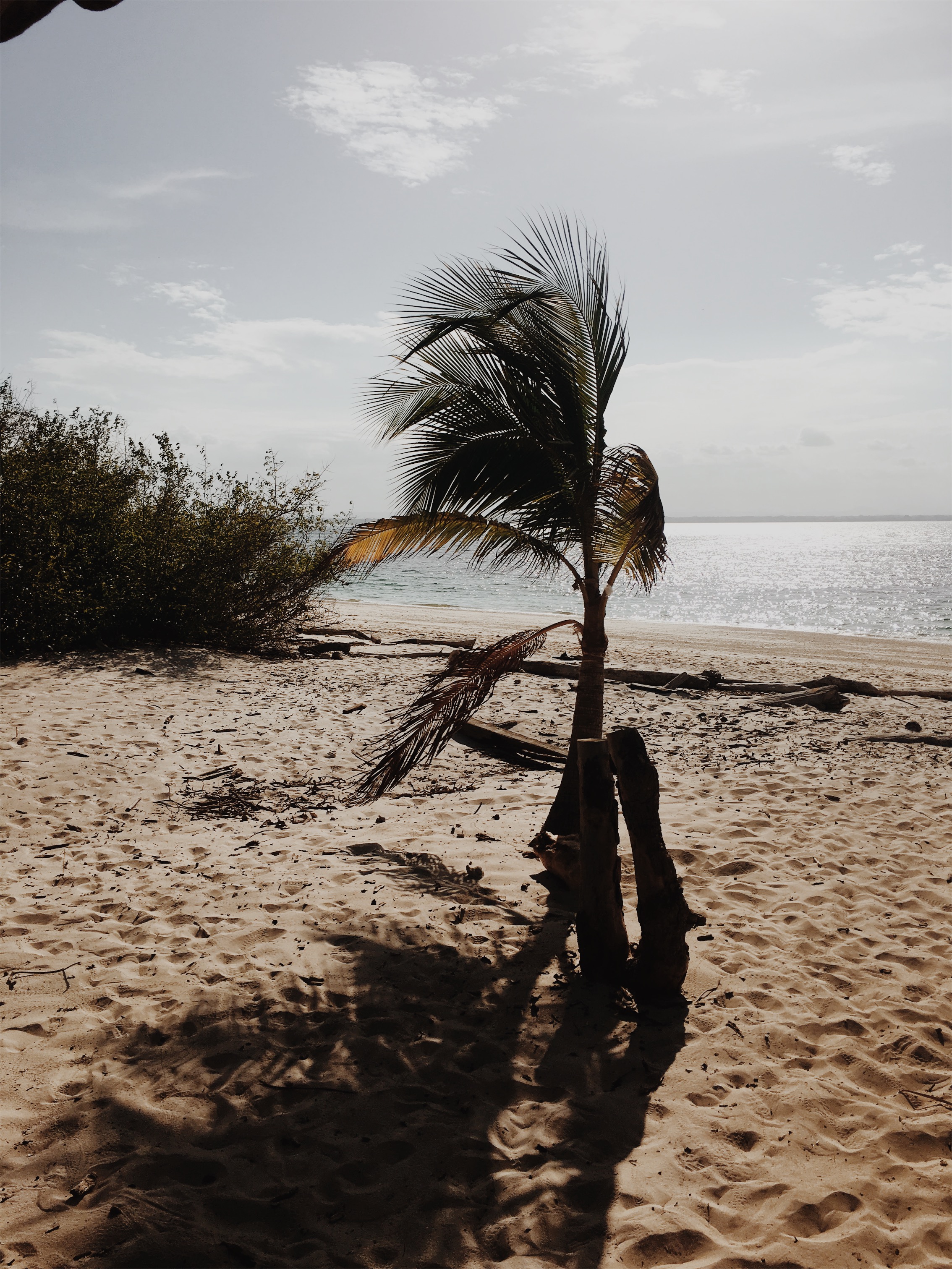 Processed with VSCO with m5 preset