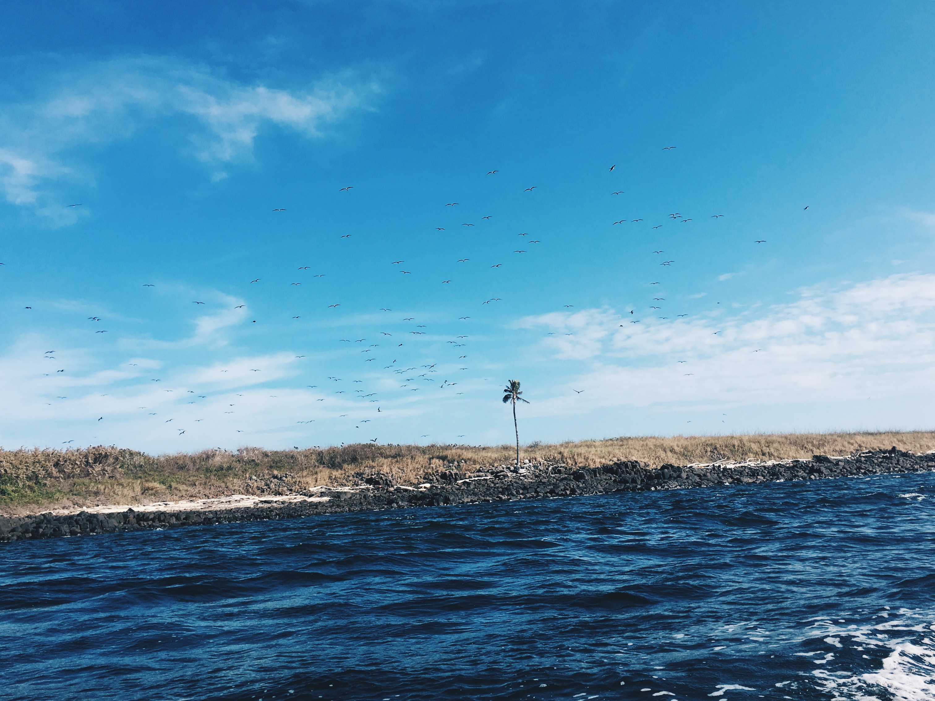 Processed with VSCO with hb2 preset