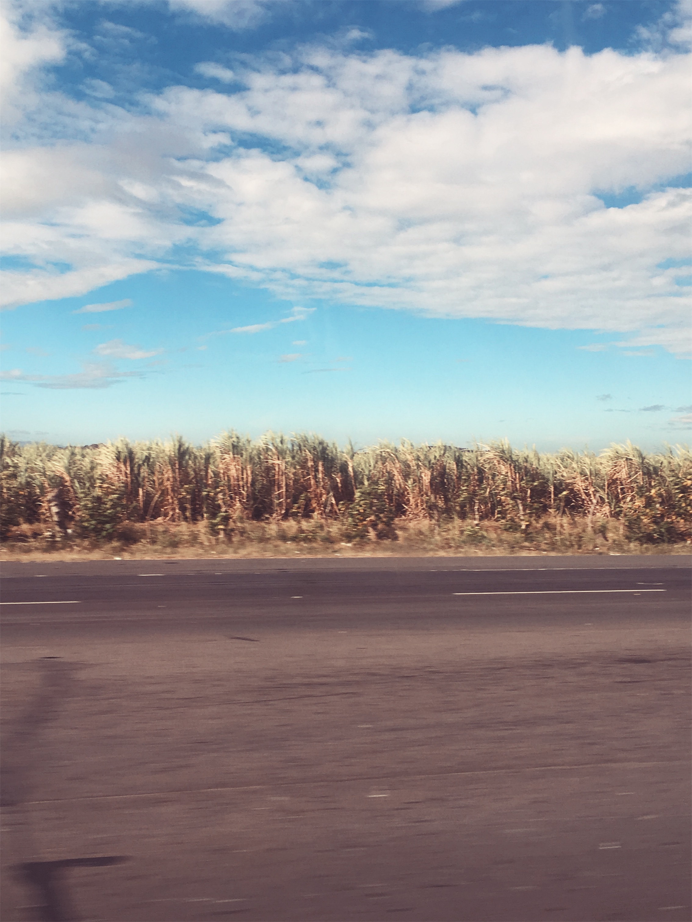 Processed with VSCO with acg preset