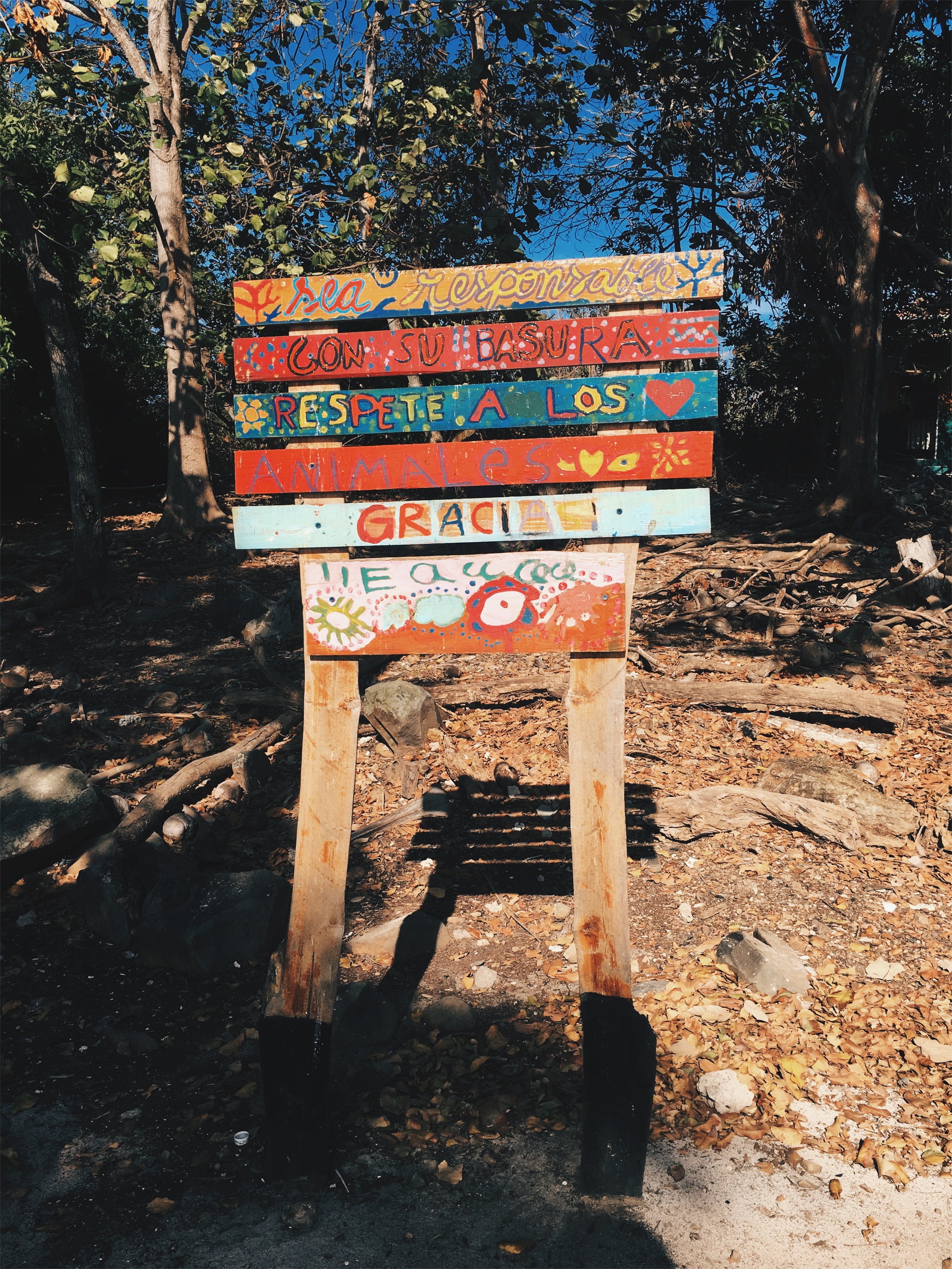 Processed with VSCO with hb2 preset