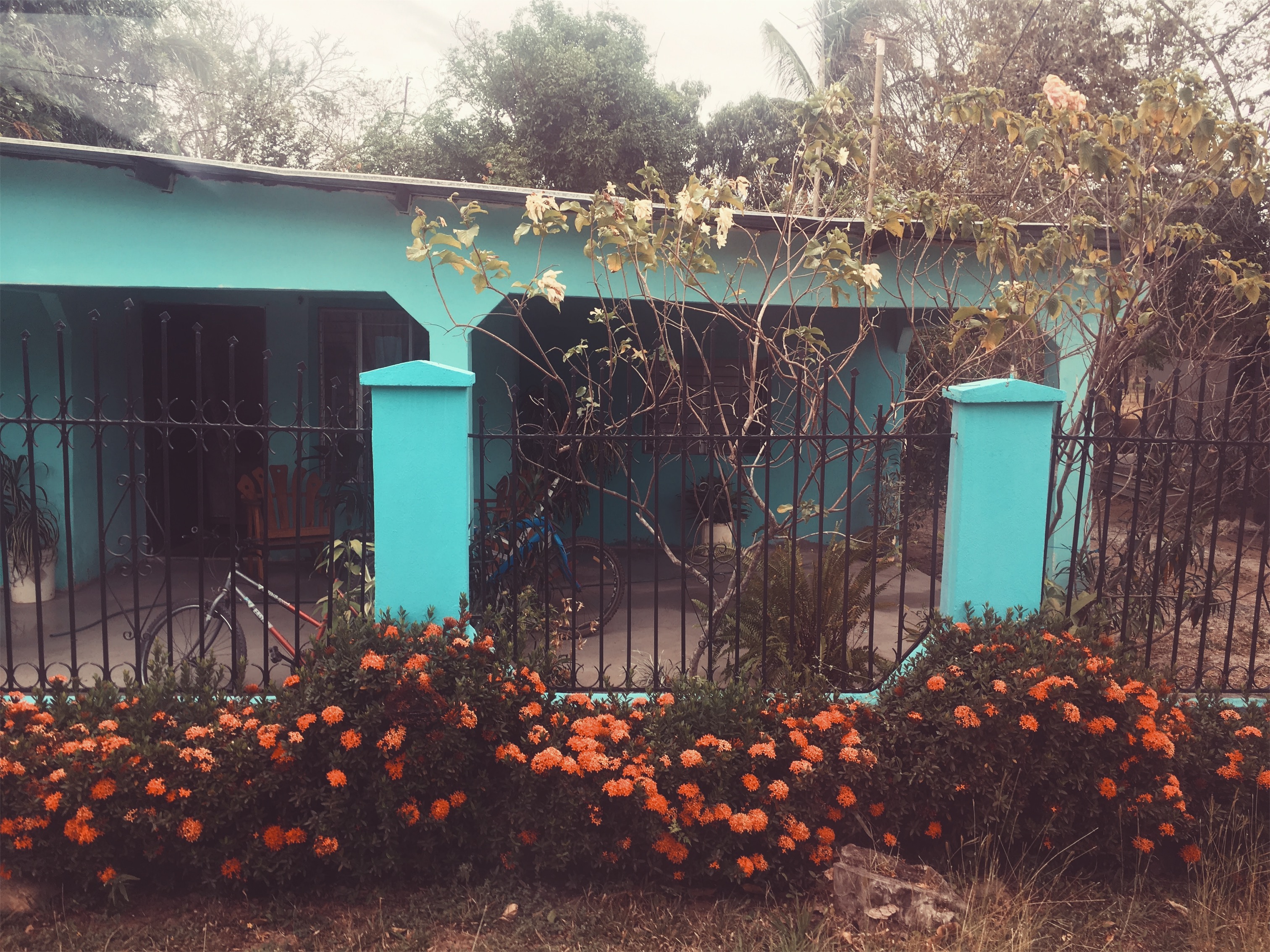 Processed with VSCO with acg preset