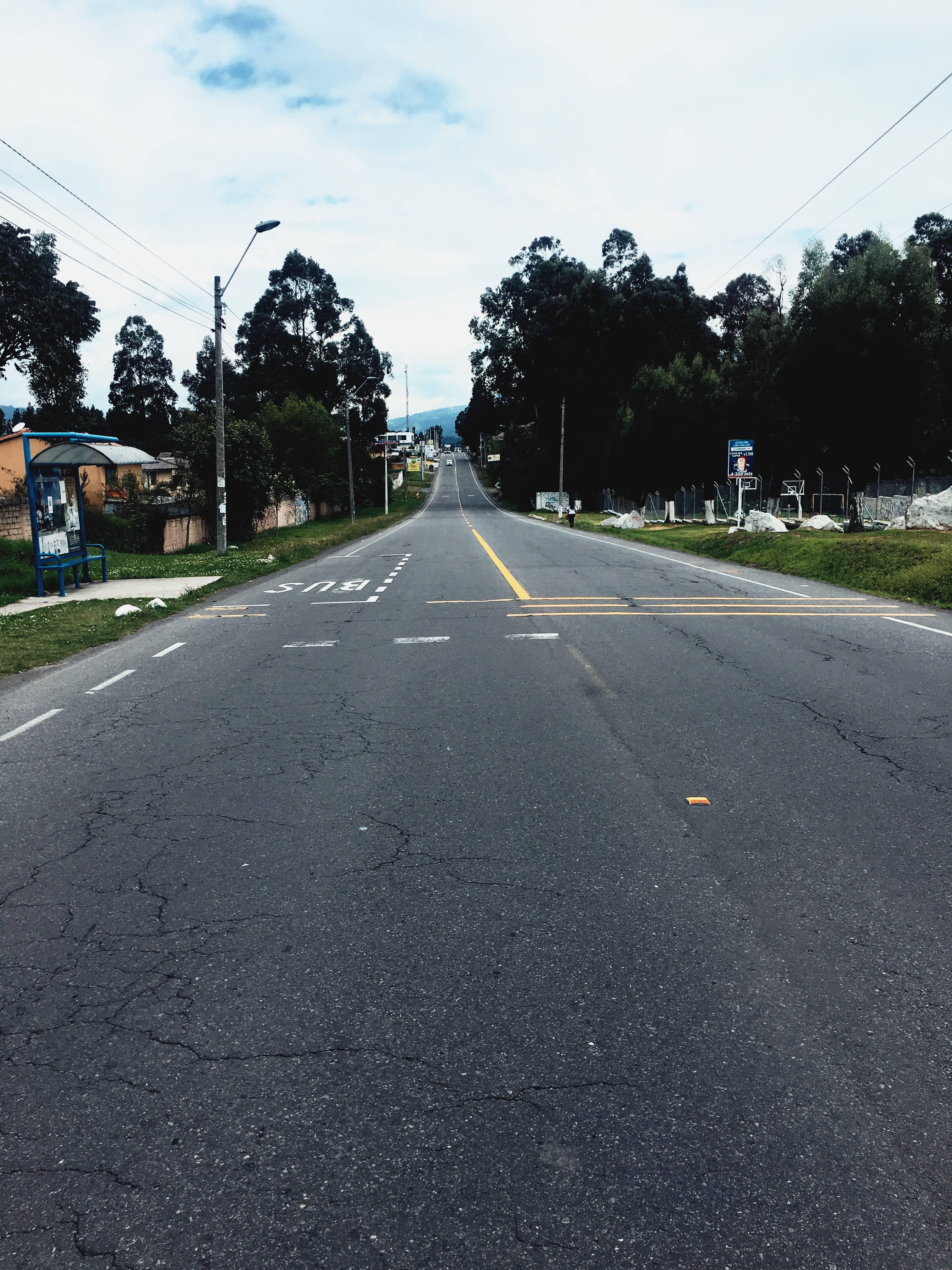 Processed with VSCO with jm1 preset