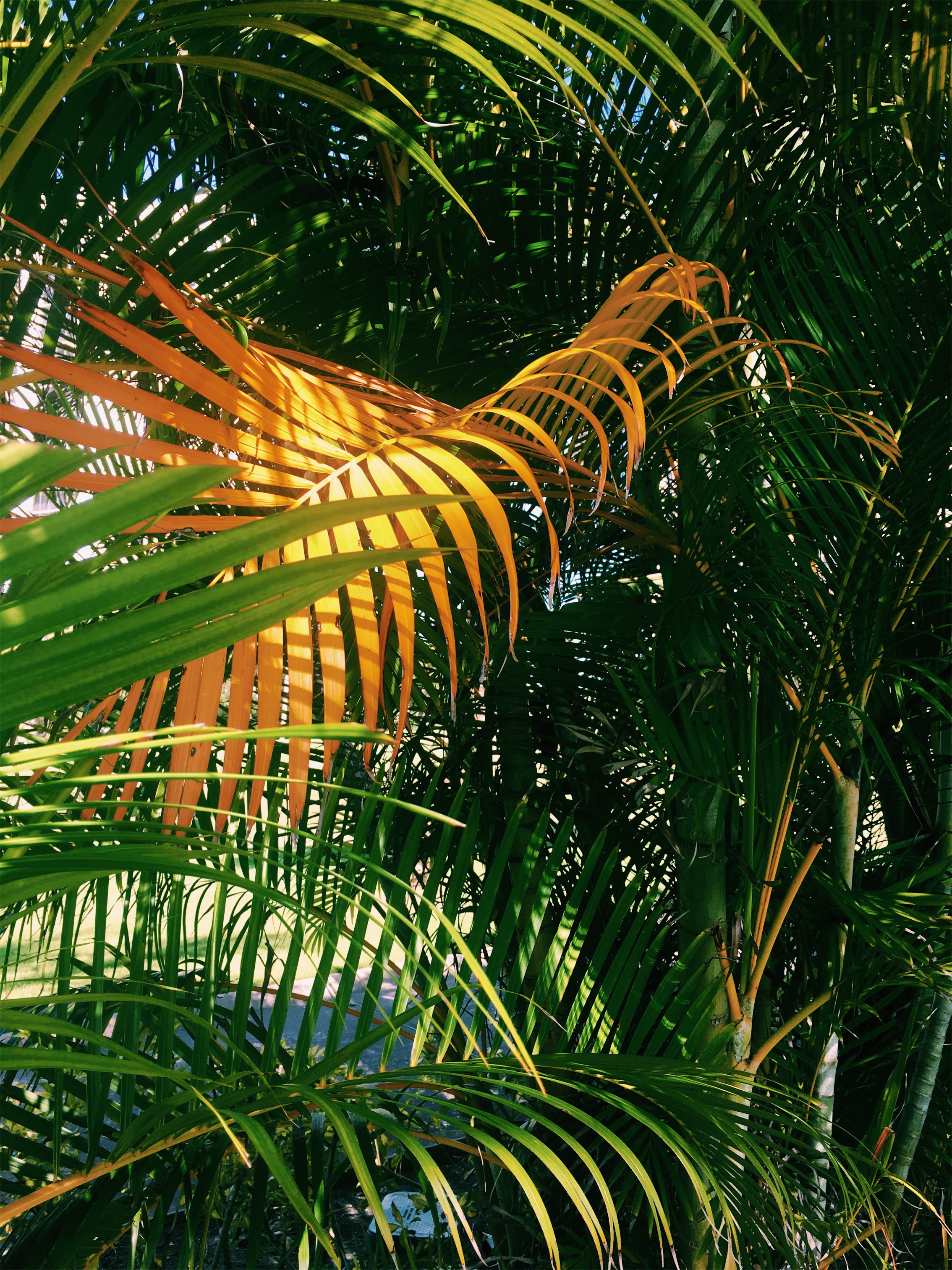 VSCO Cam-1.jpg