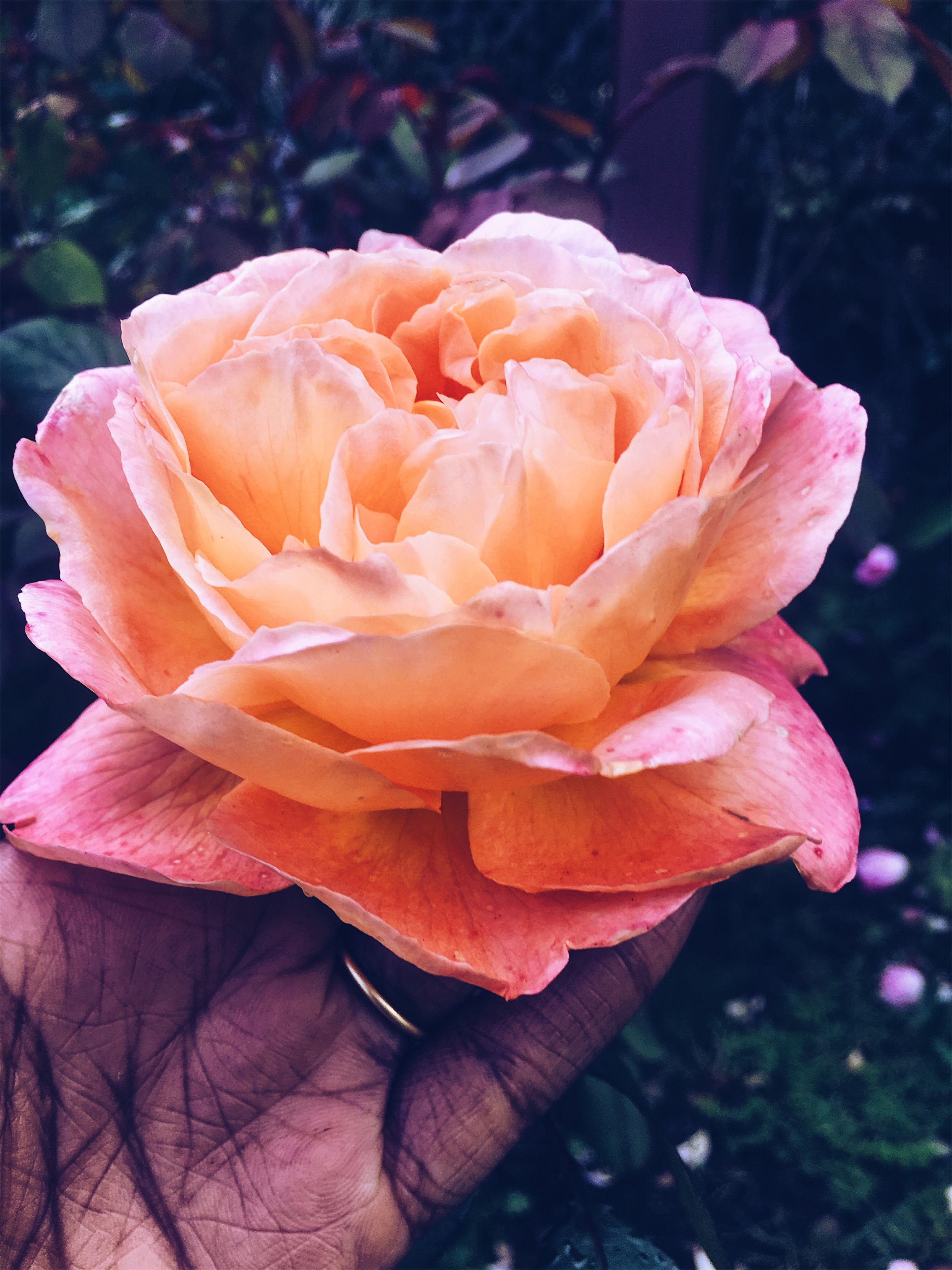 VSCO Cam-1-12.jpg