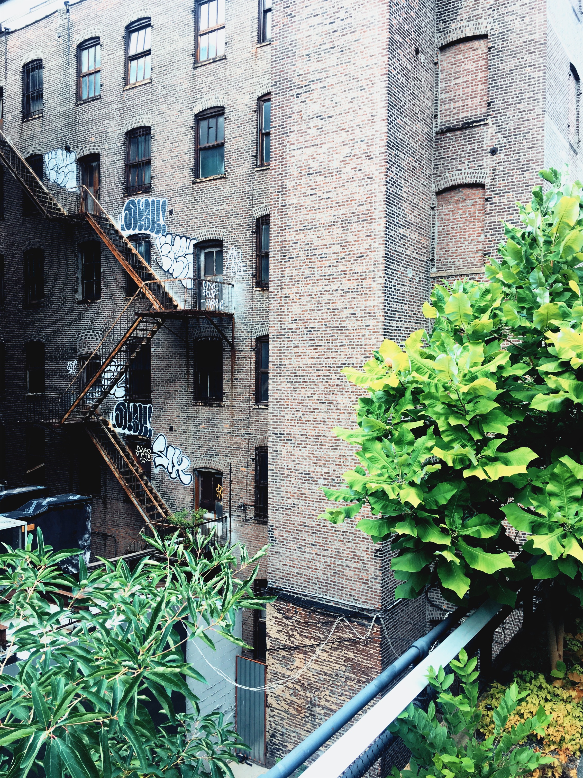 VSCO Cam-1-15.jpg