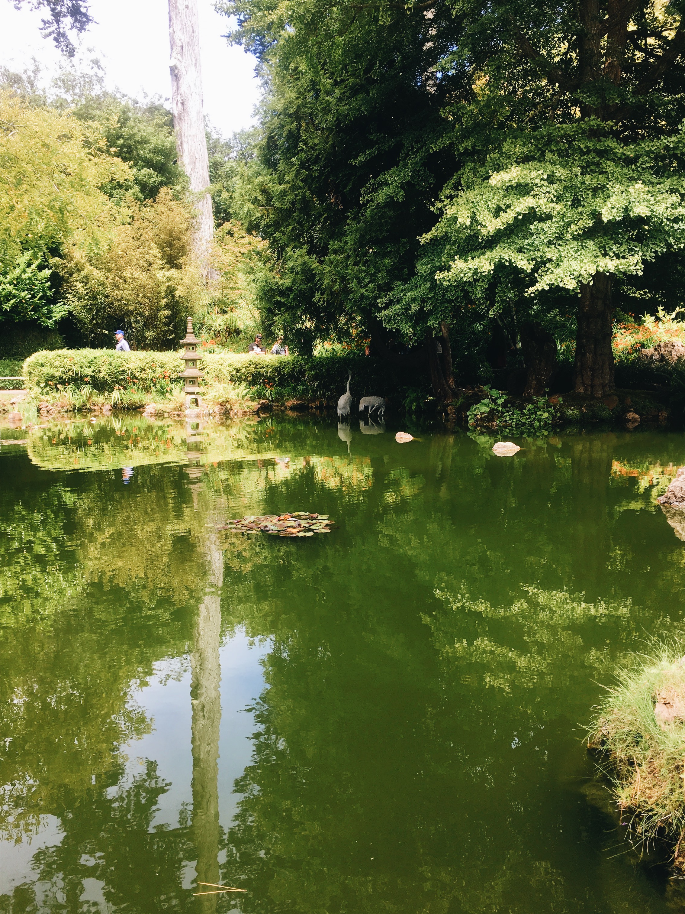 VSCO Cam-1-17.jpg