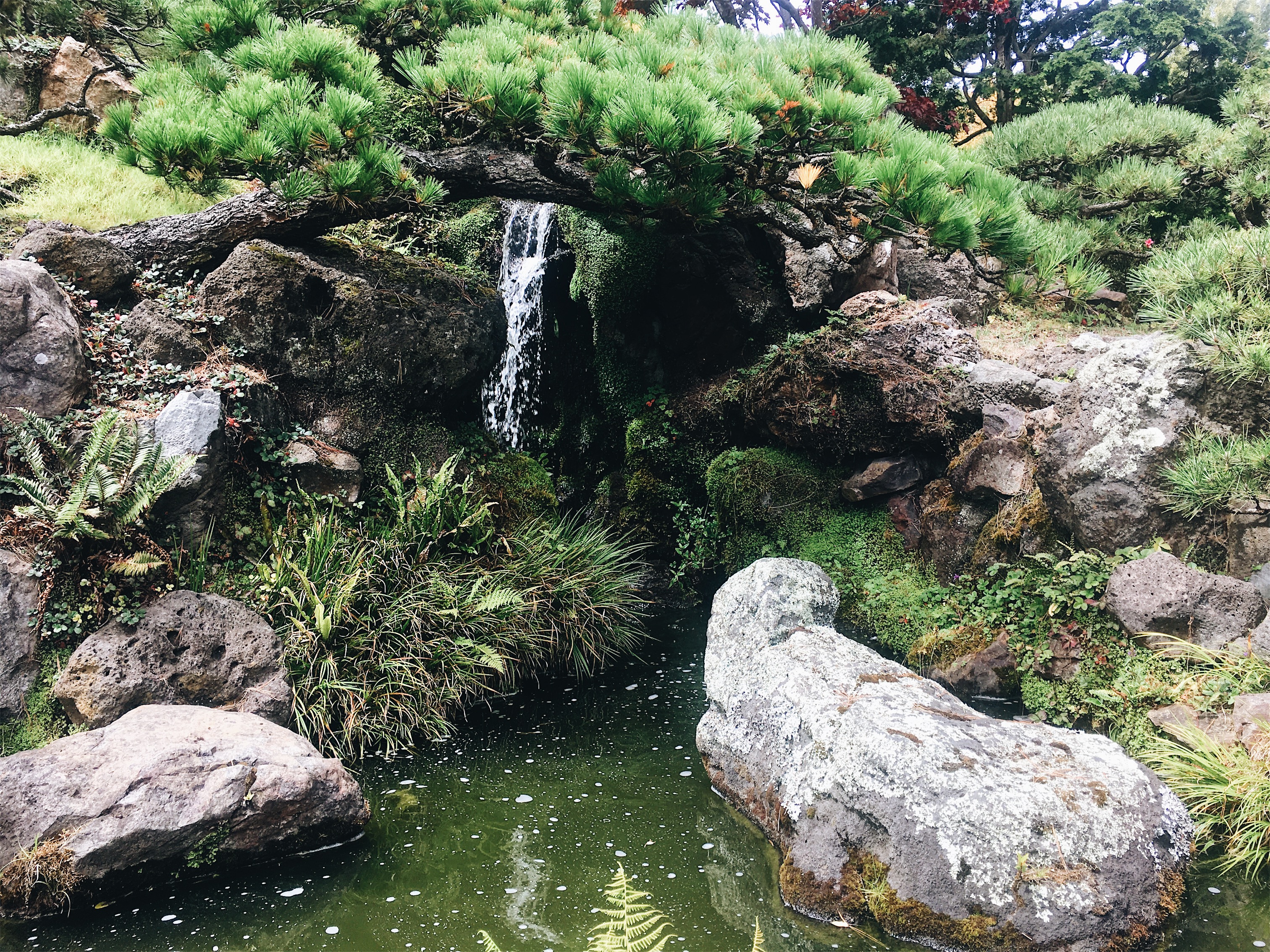 VSCO Cam-1-30.jpg