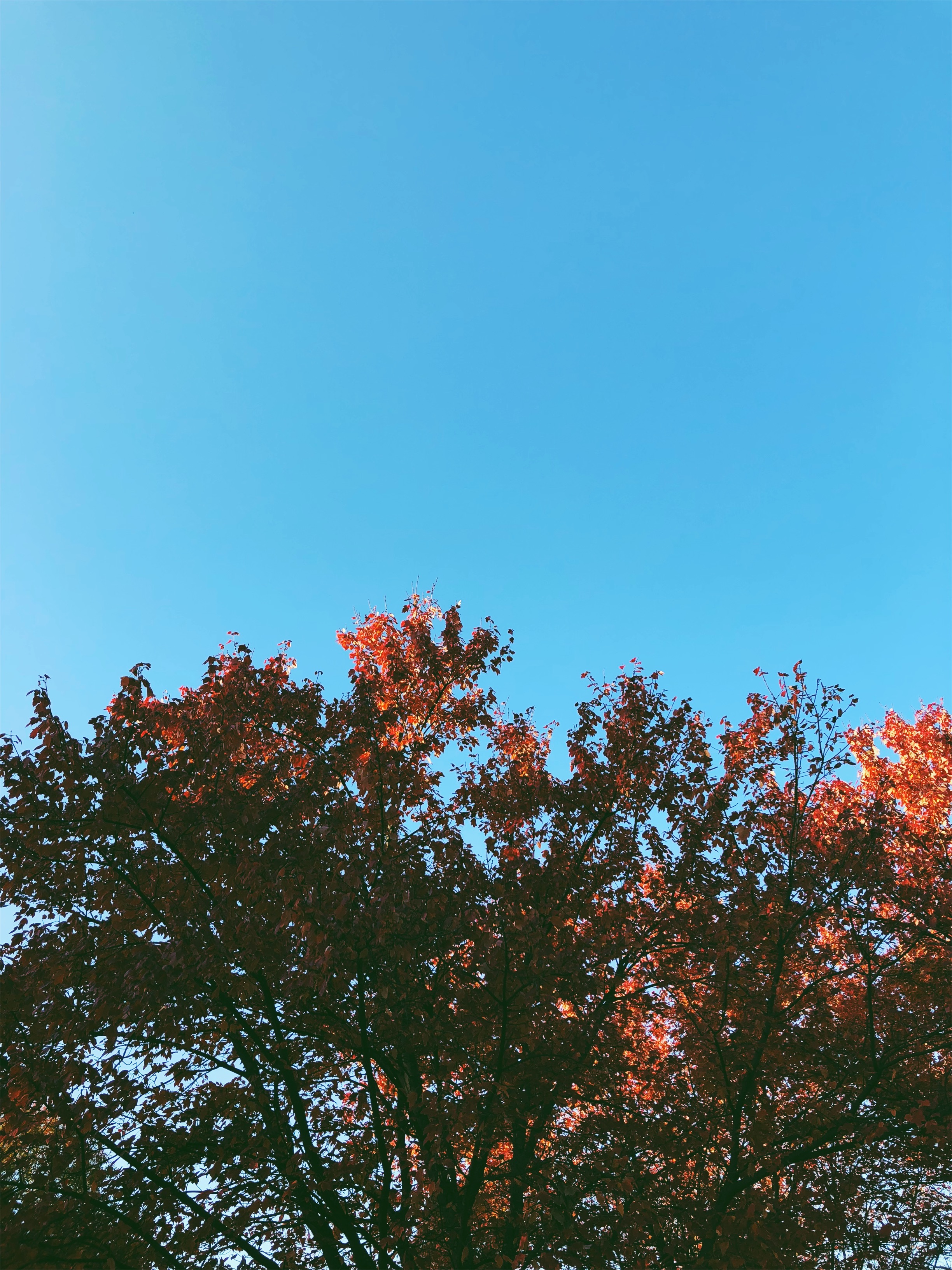VSCO Cam-6.jpg
