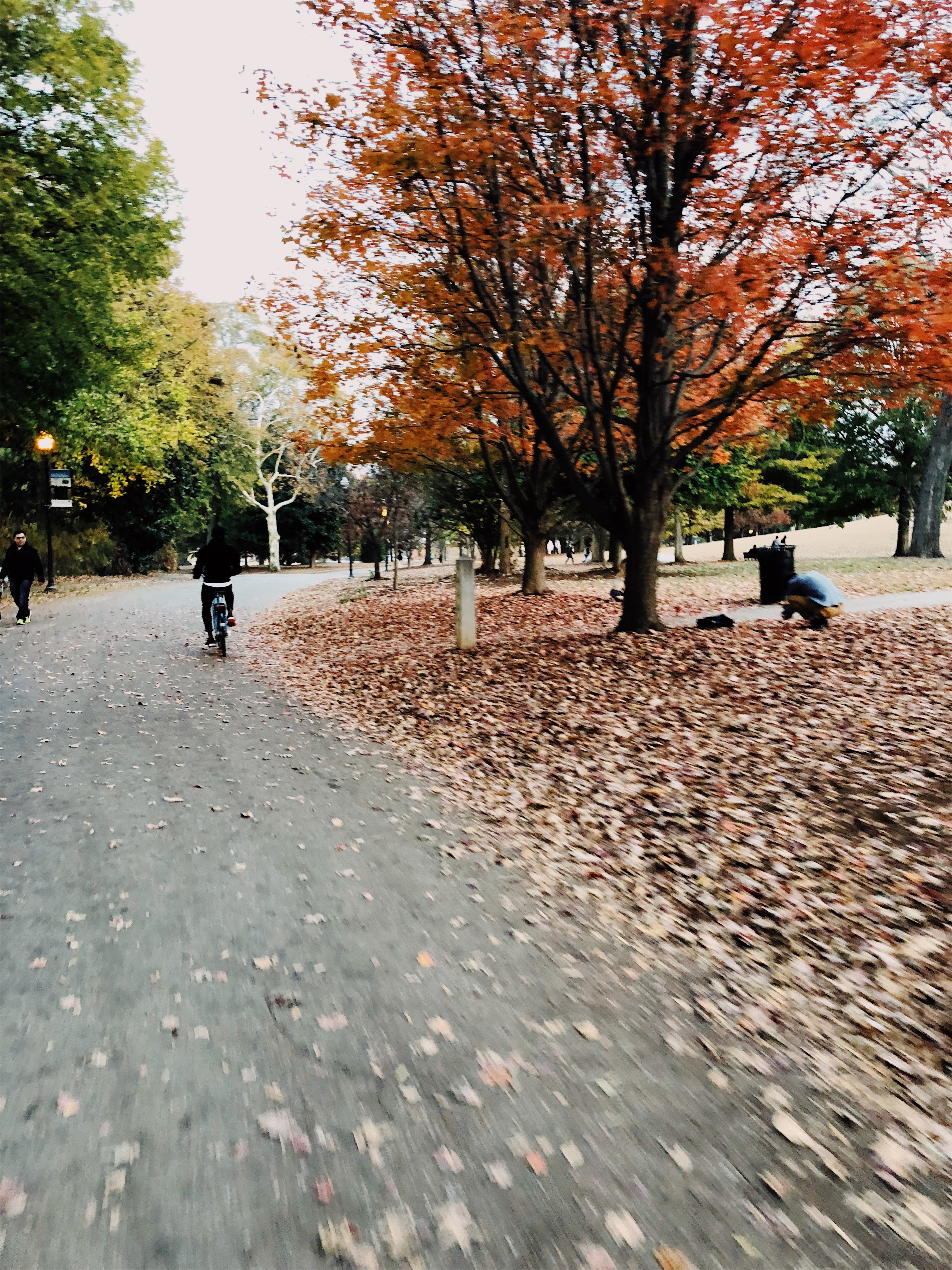 VSCO Cam-10.jpg