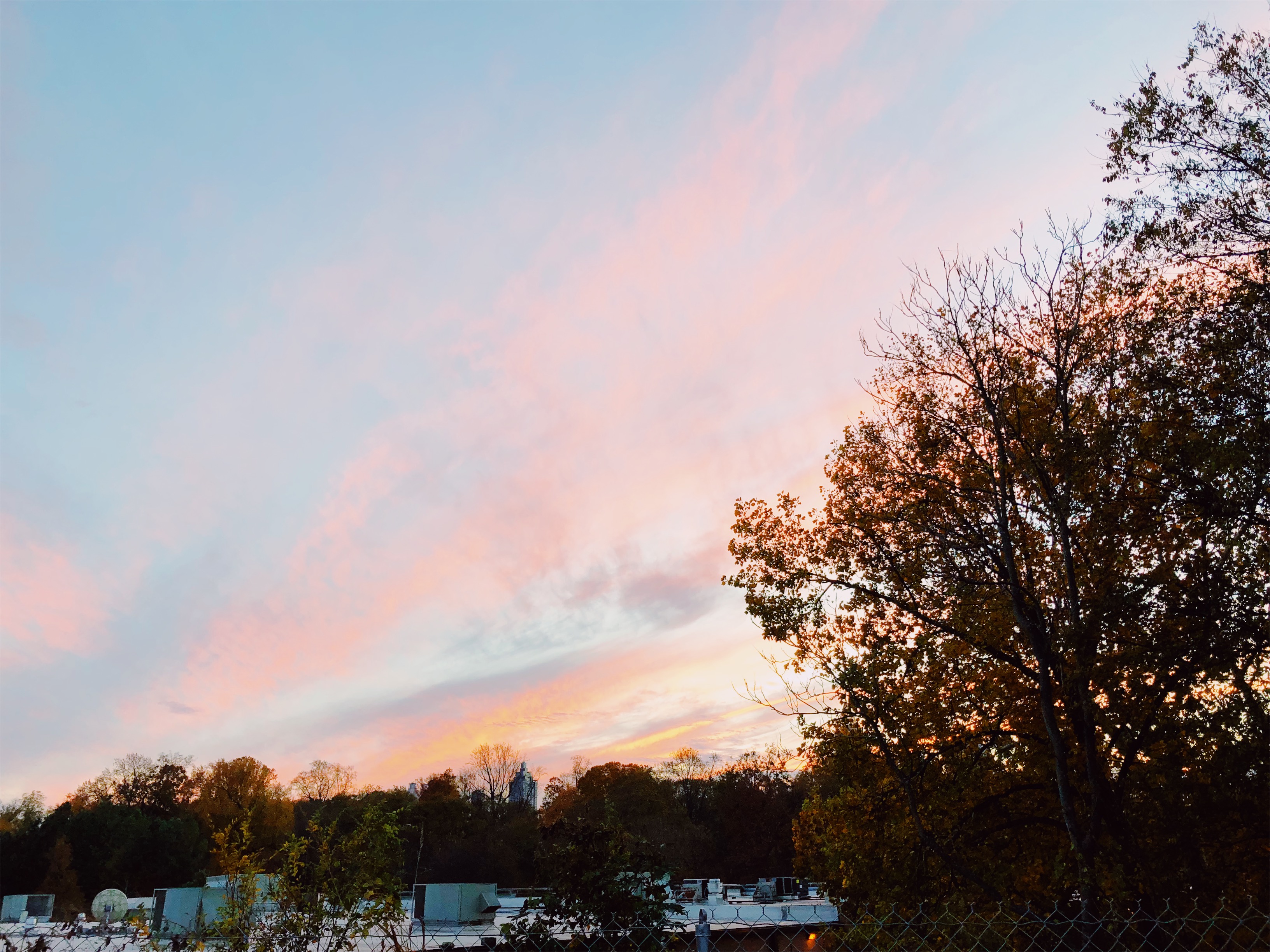 VSCO Cam-2.jpg