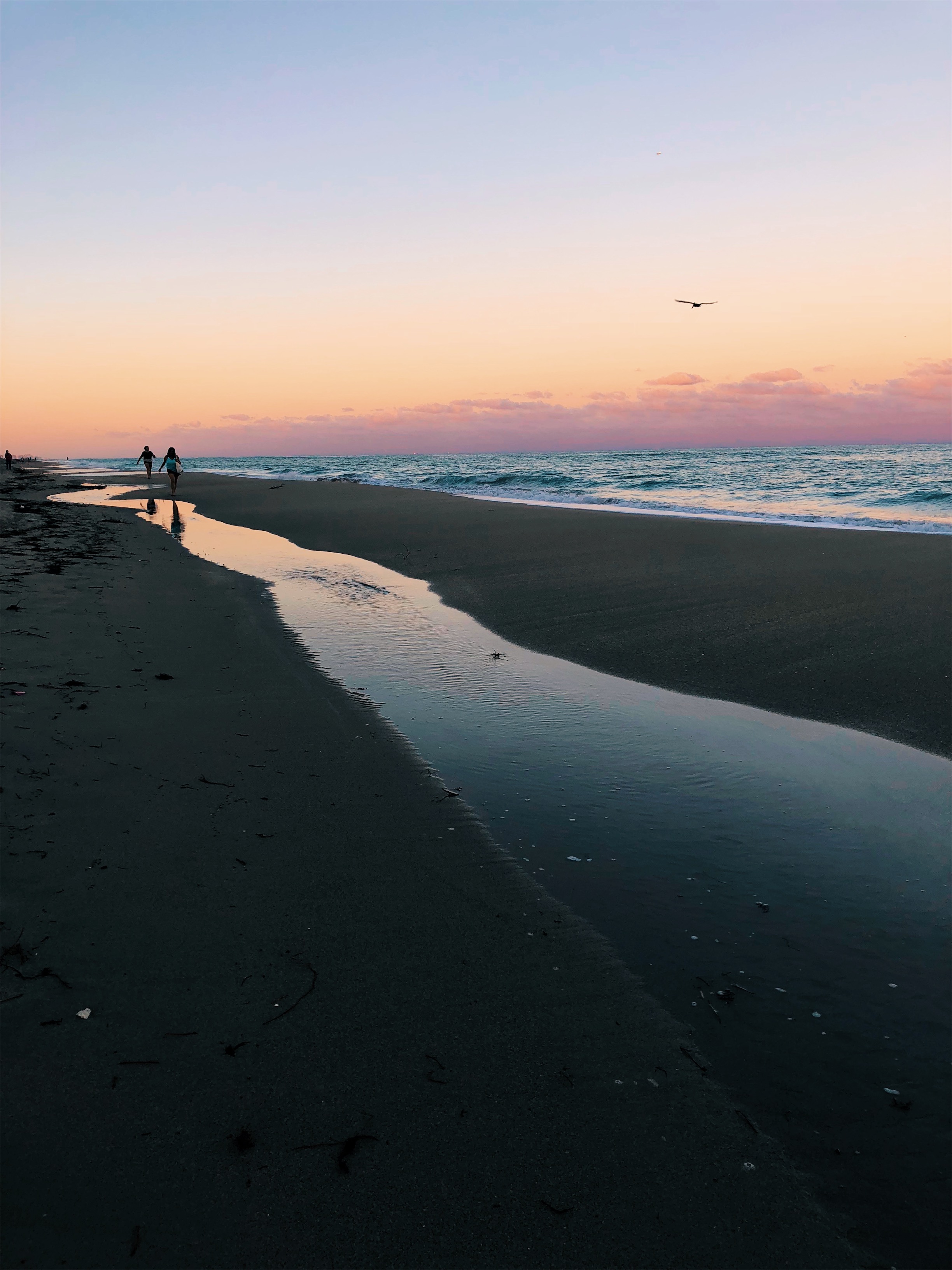 VSCO Cam-8.jpg