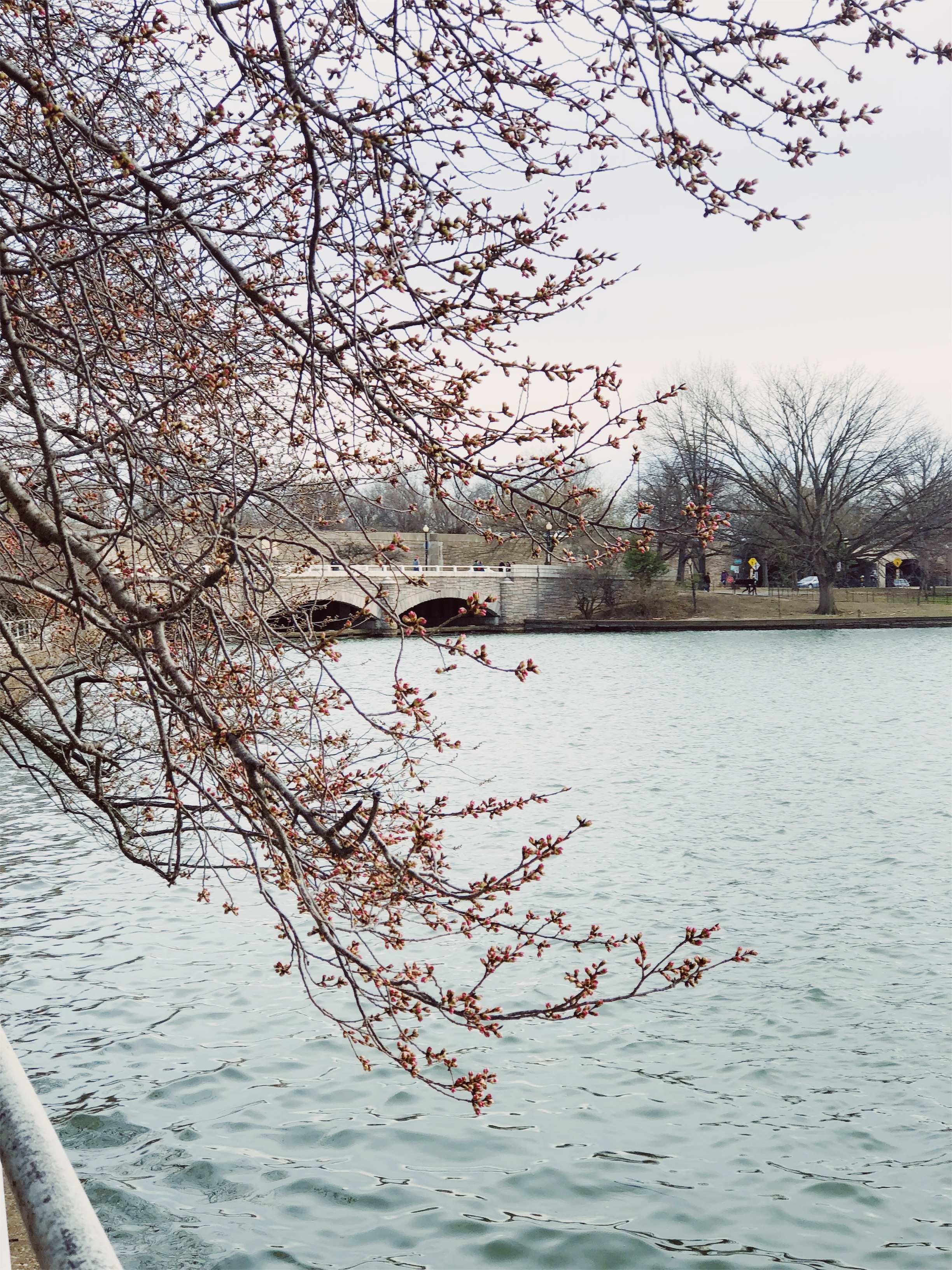 Processed with VSCO with kp2 preset