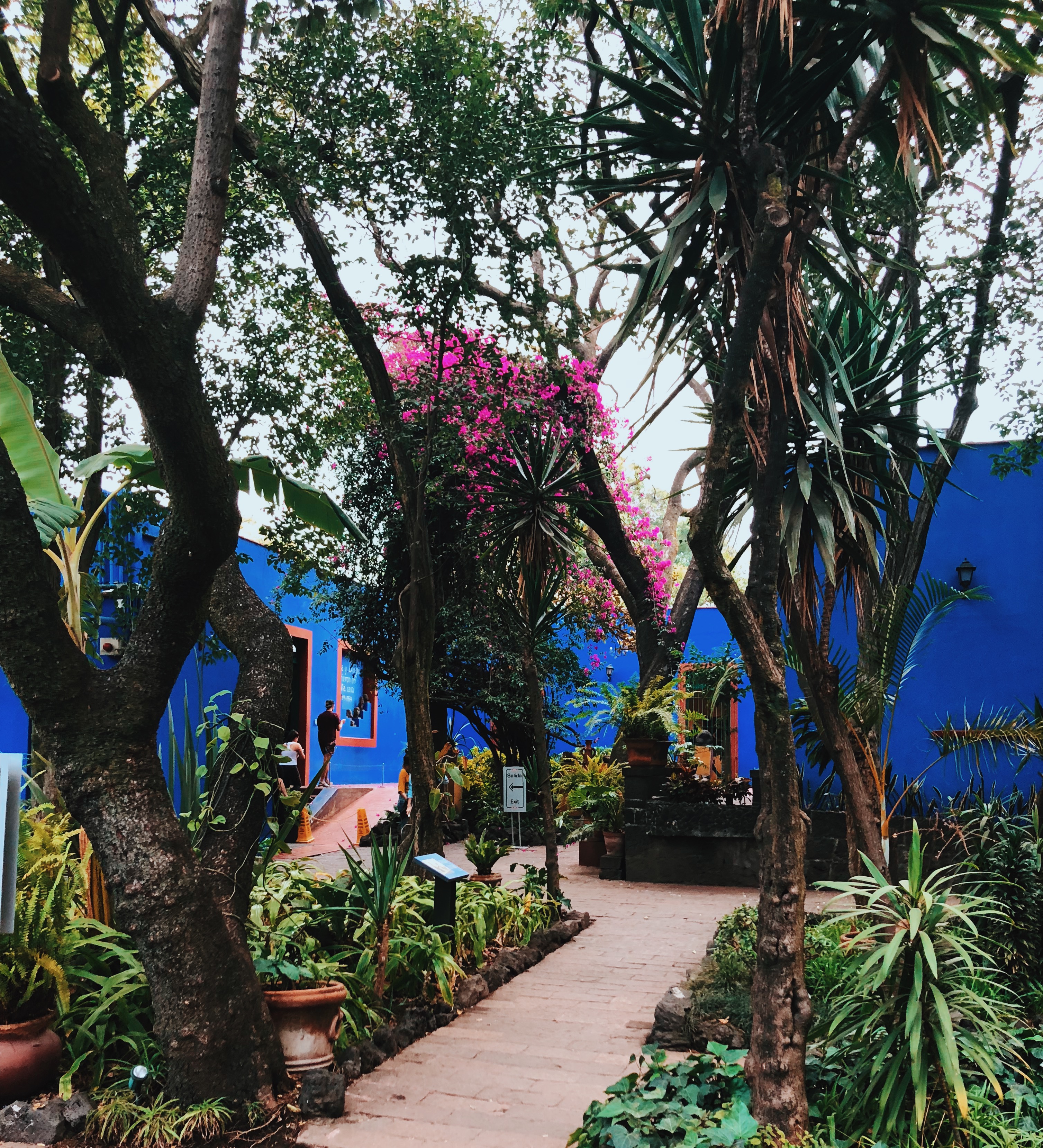 Processed with VSCO with c8 preset