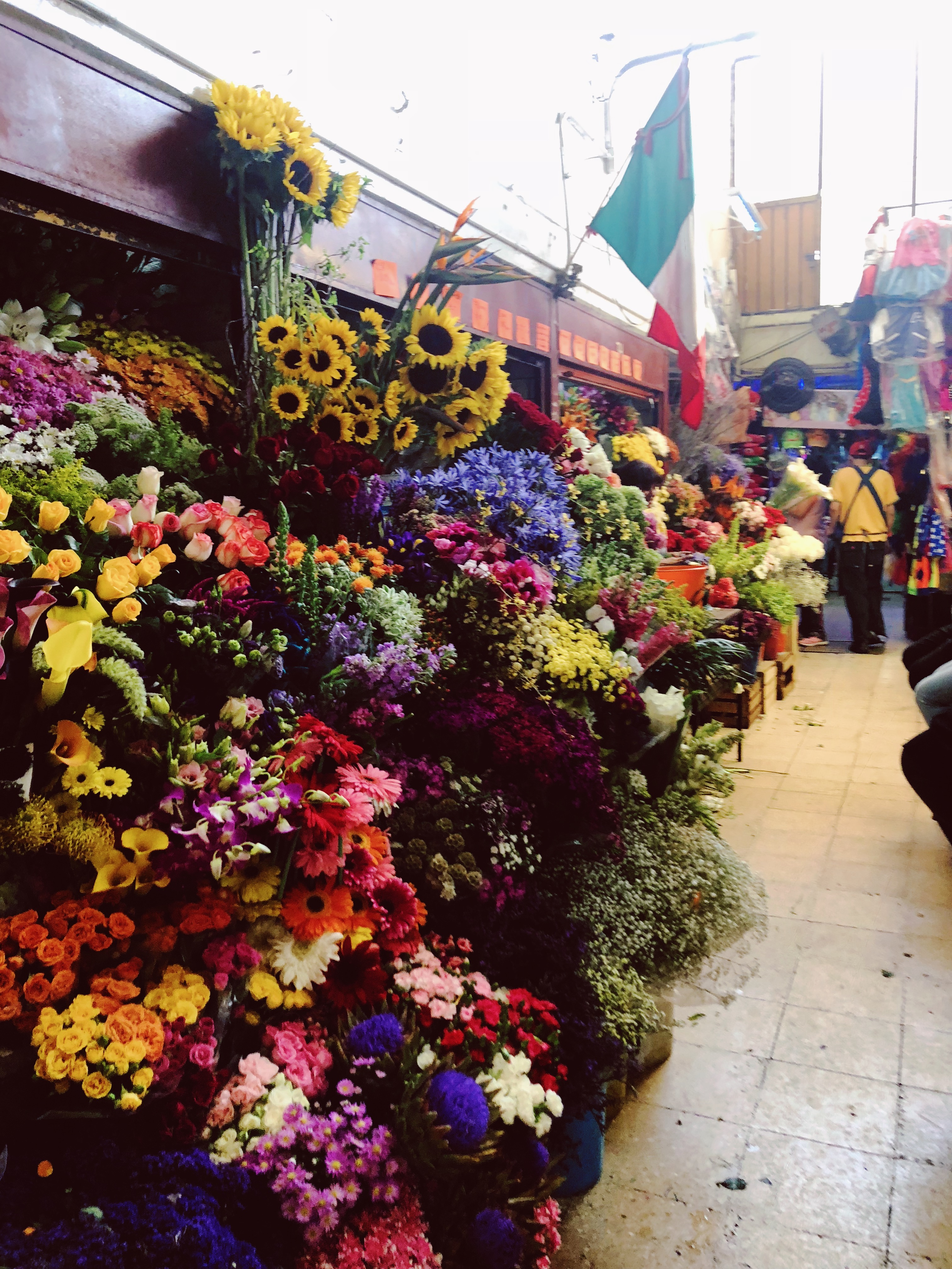 Processed with VSCO with 10 preset