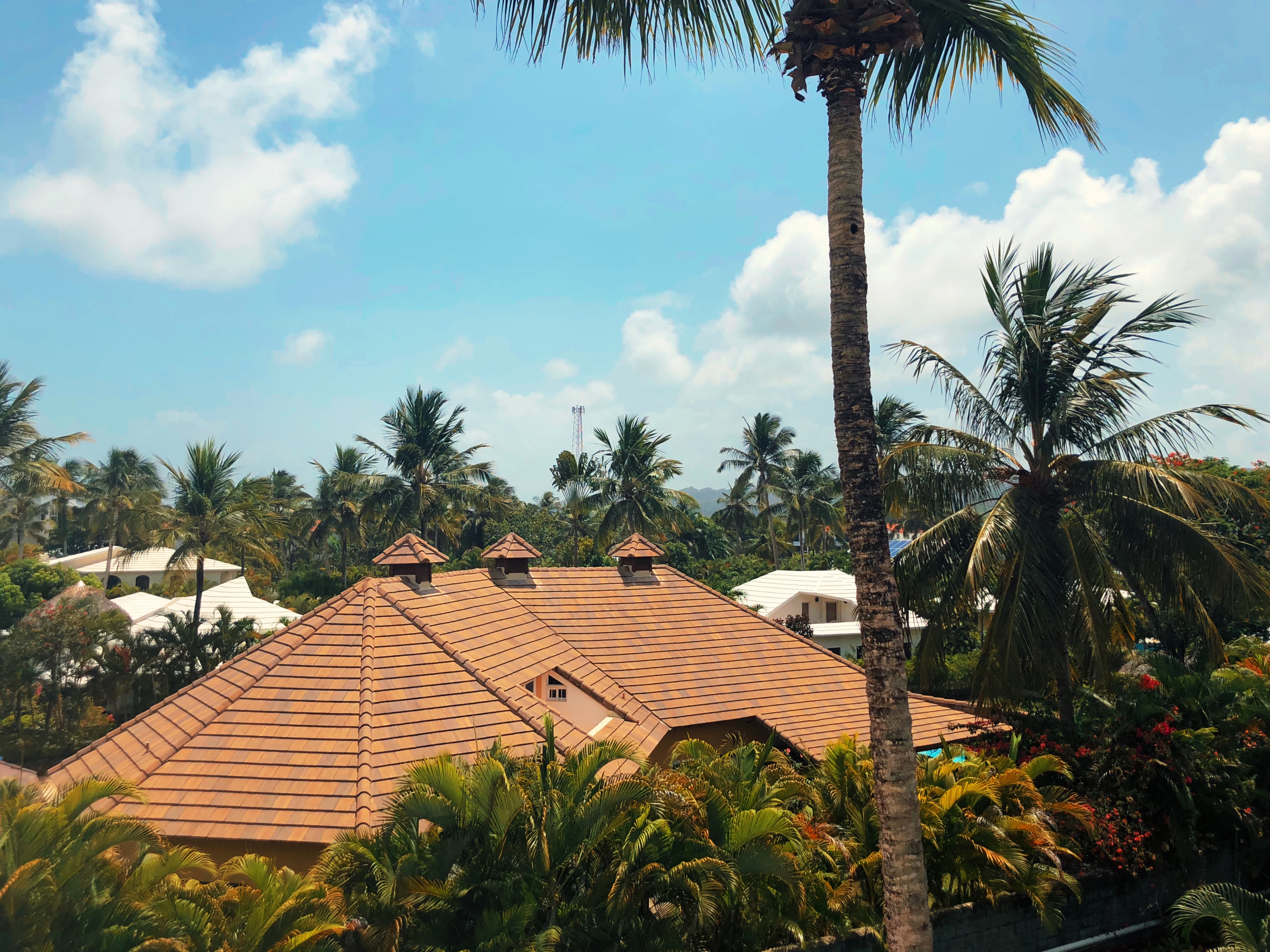 Processed with VSCO with u5 preset