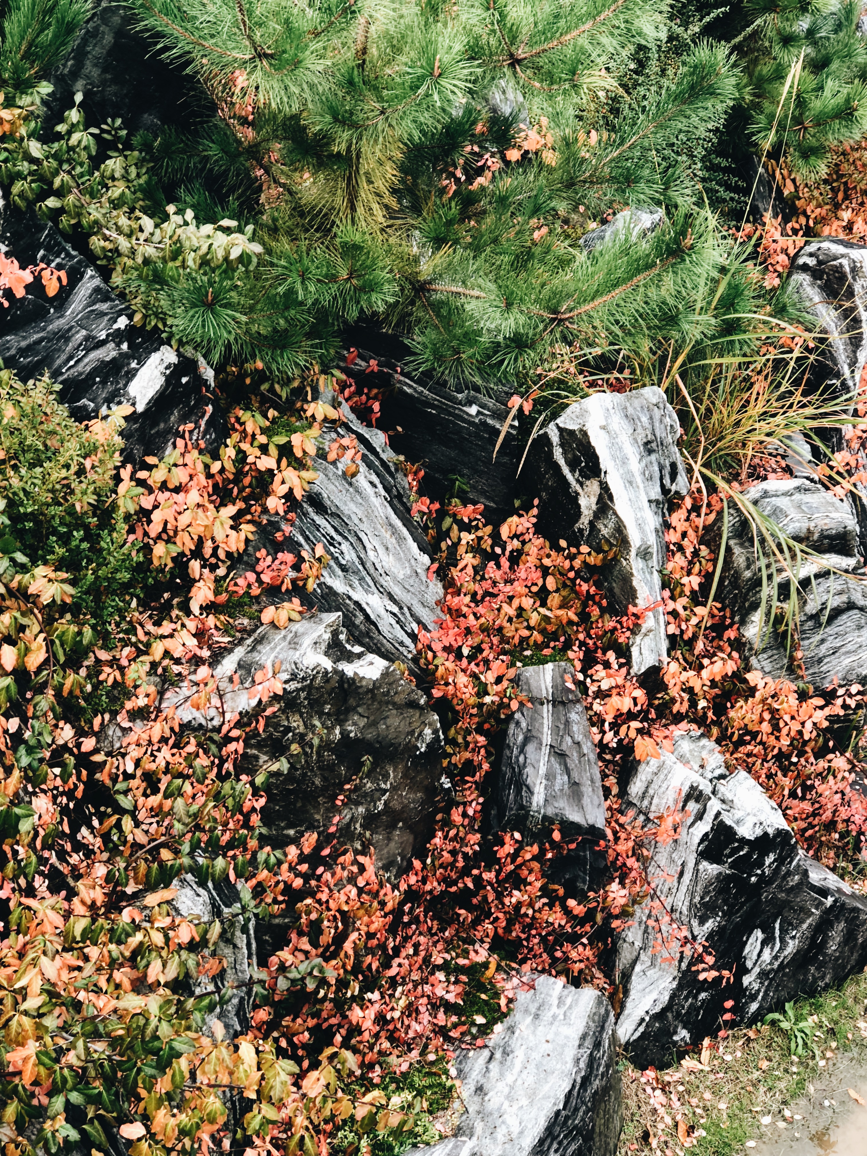 Processed with VSCO with a6 preset