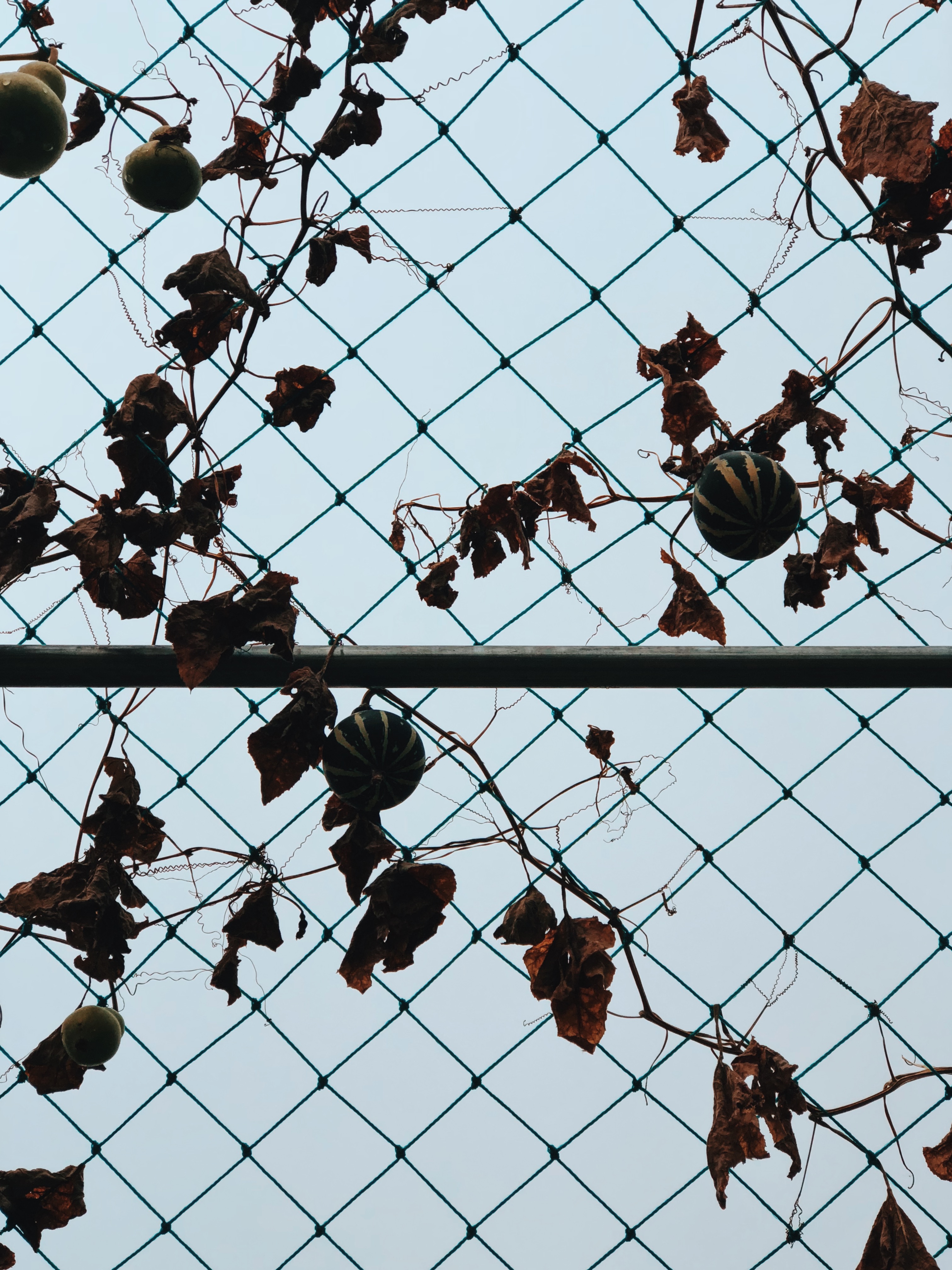 Processed with VSCO with c8 preset