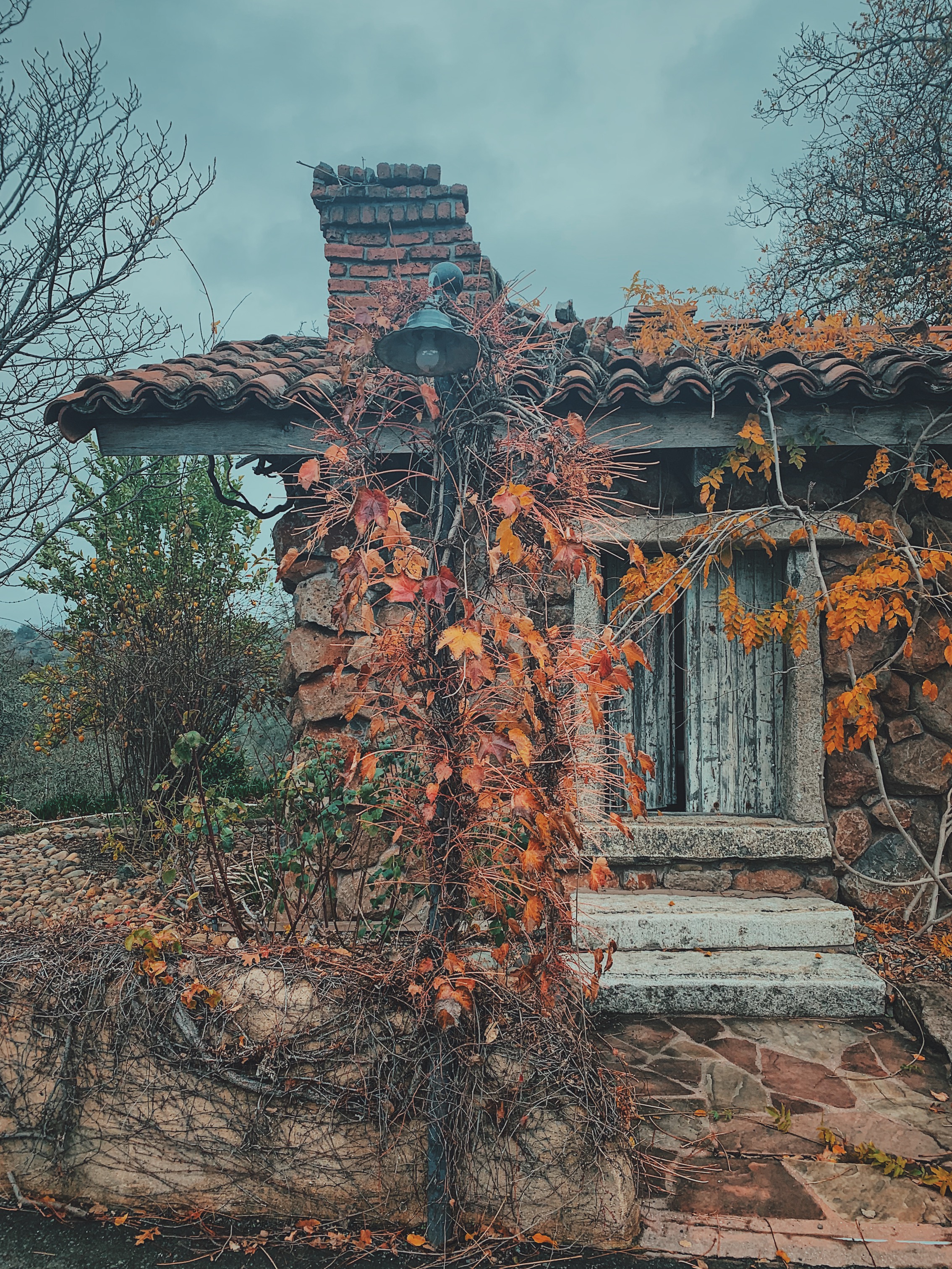 Processed with VSCO with c9 preset