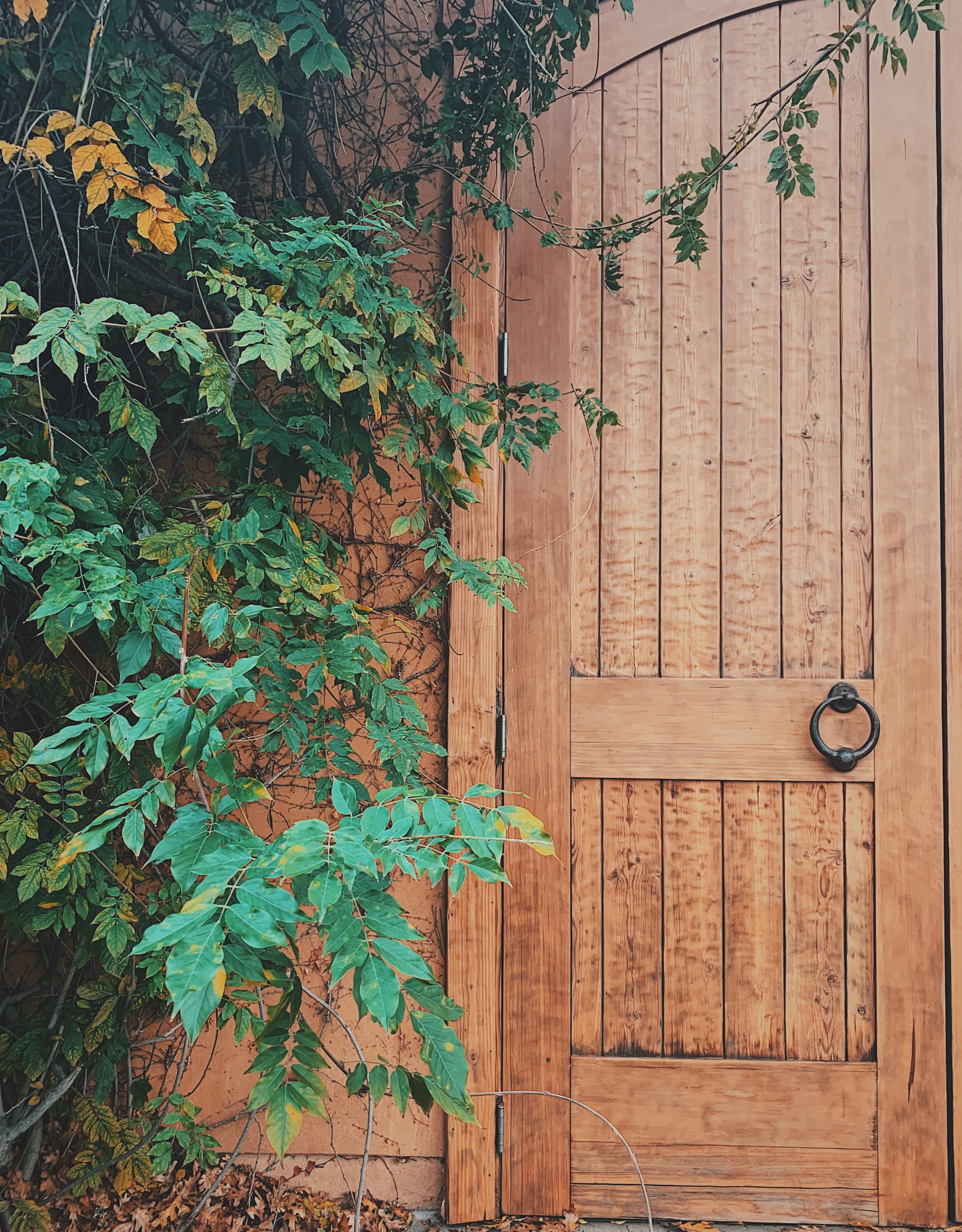 Processed with VSCO with c9 preset