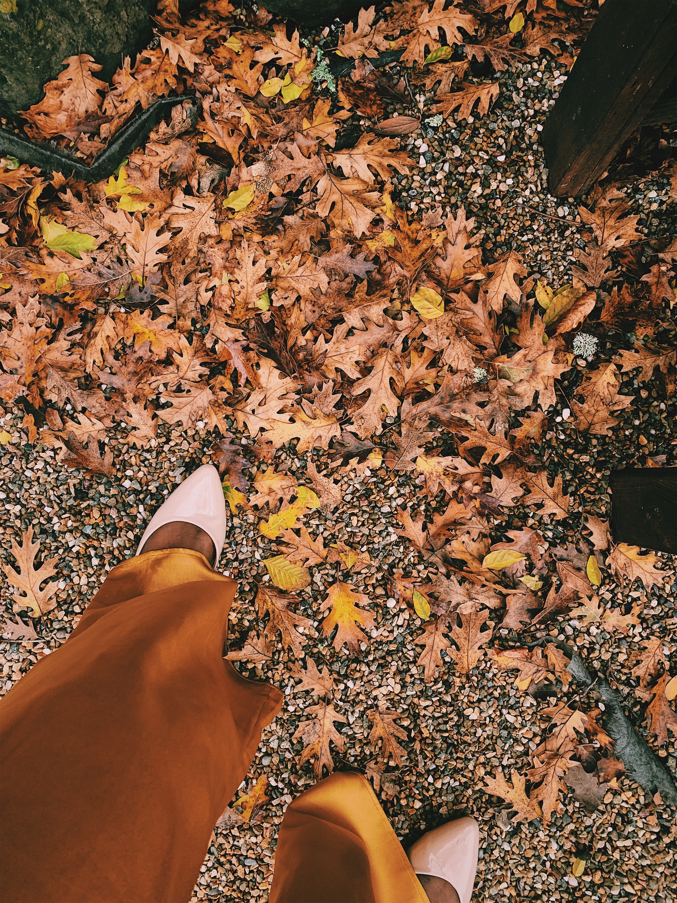Processed with VSCO with c1 preset