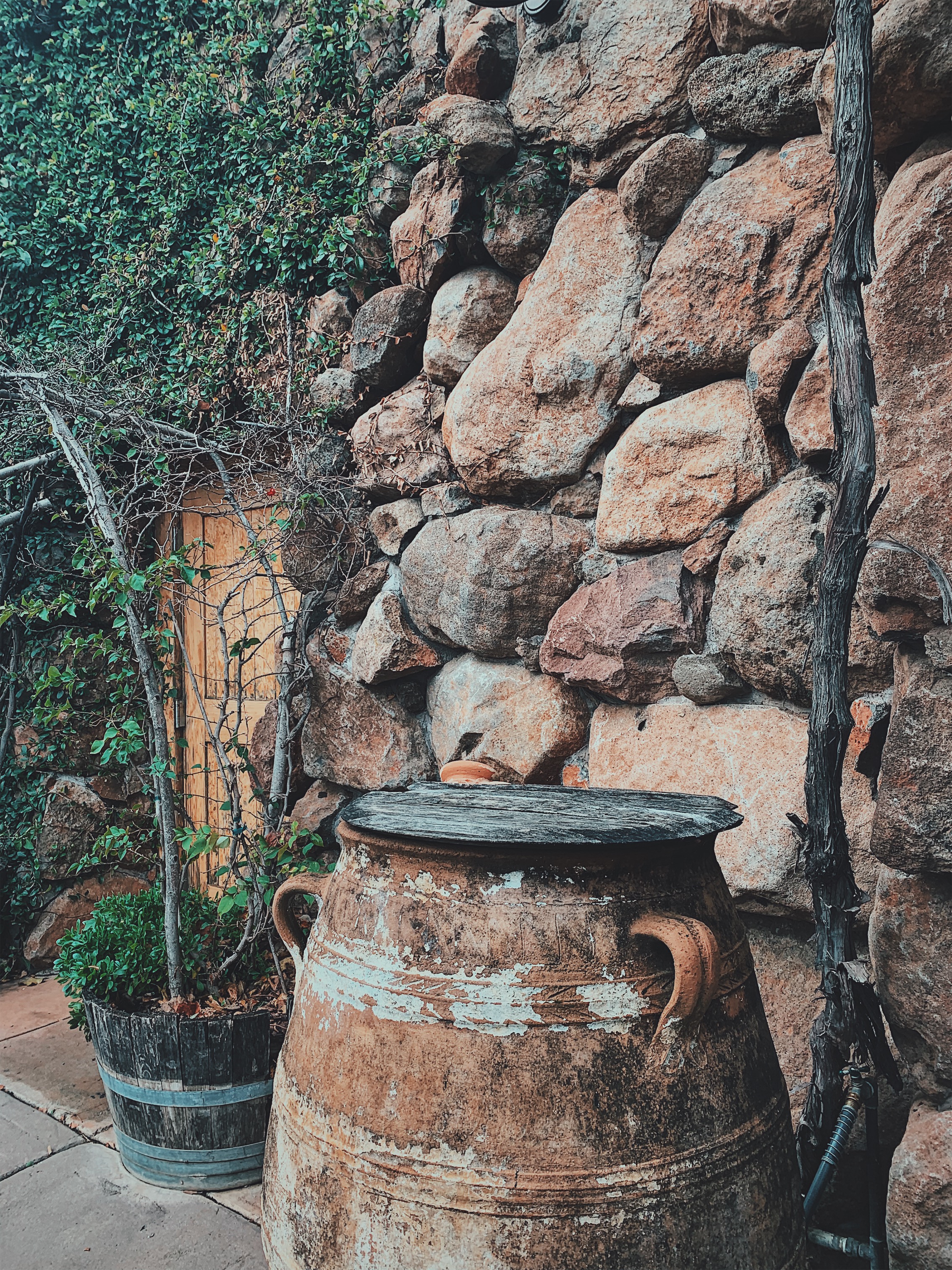 Processed with VSCO with c9 preset