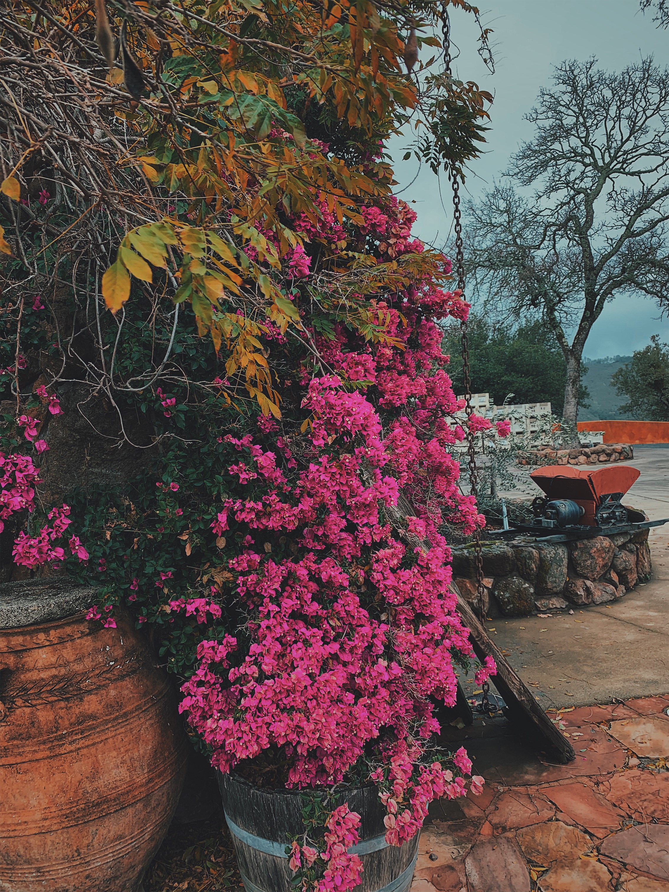 Processed with VSCO with c9 preset