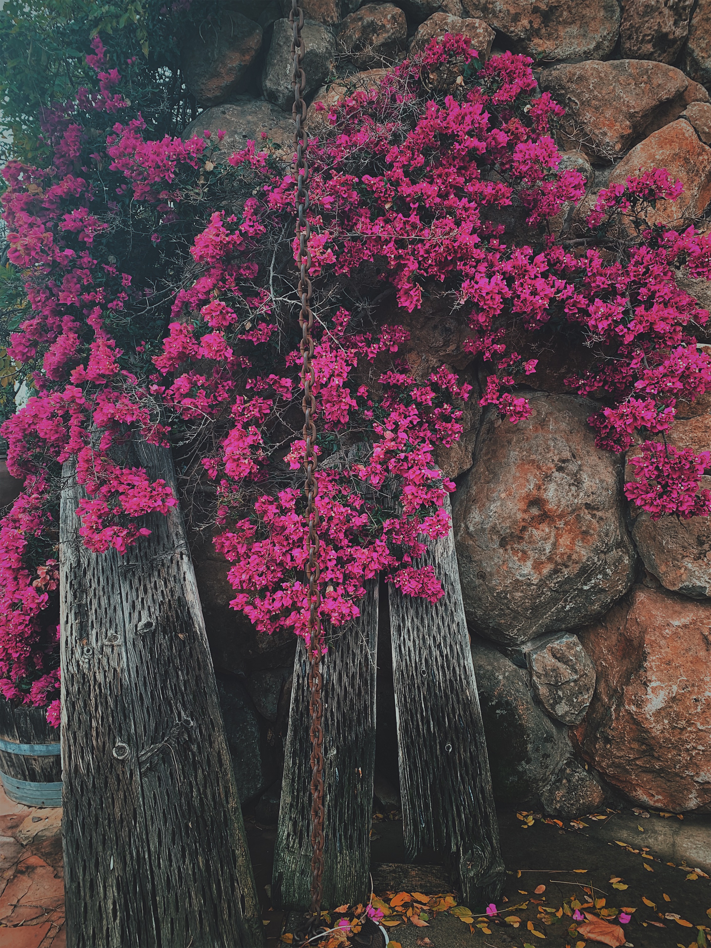 Processed with VSCO with c9 preset