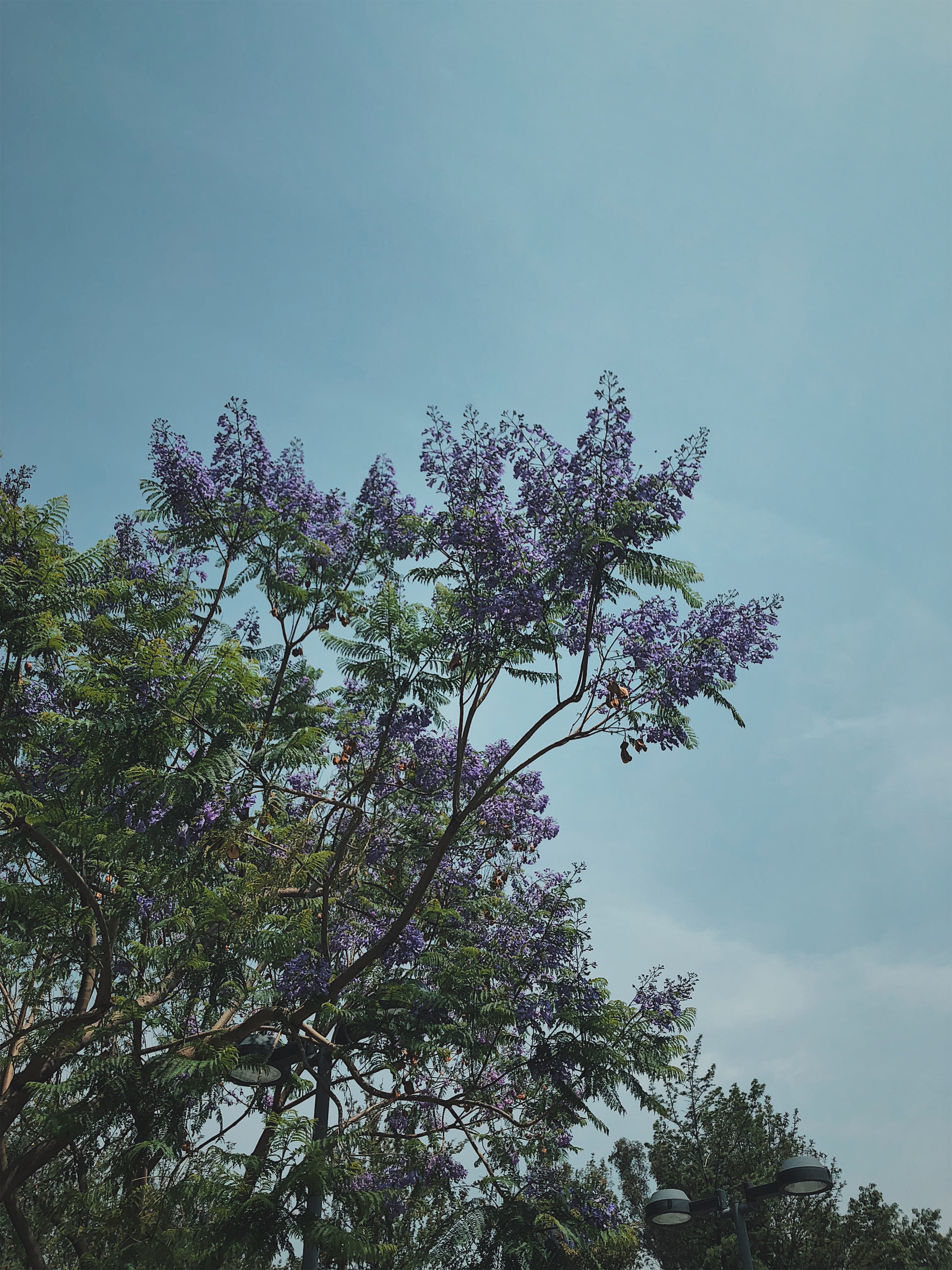Processed with VSCO with c9 preset