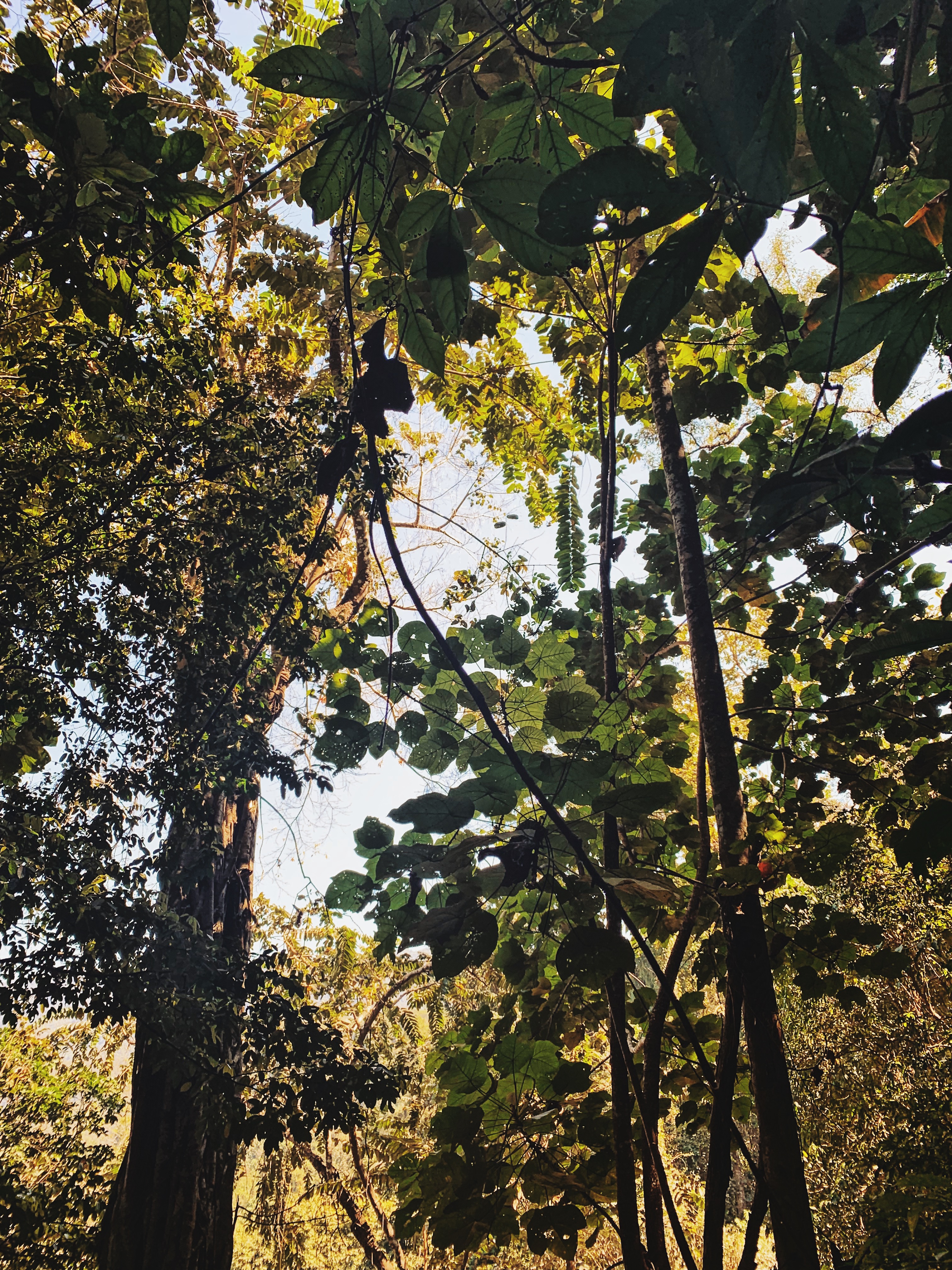 Processed with VSCO with u1 preset