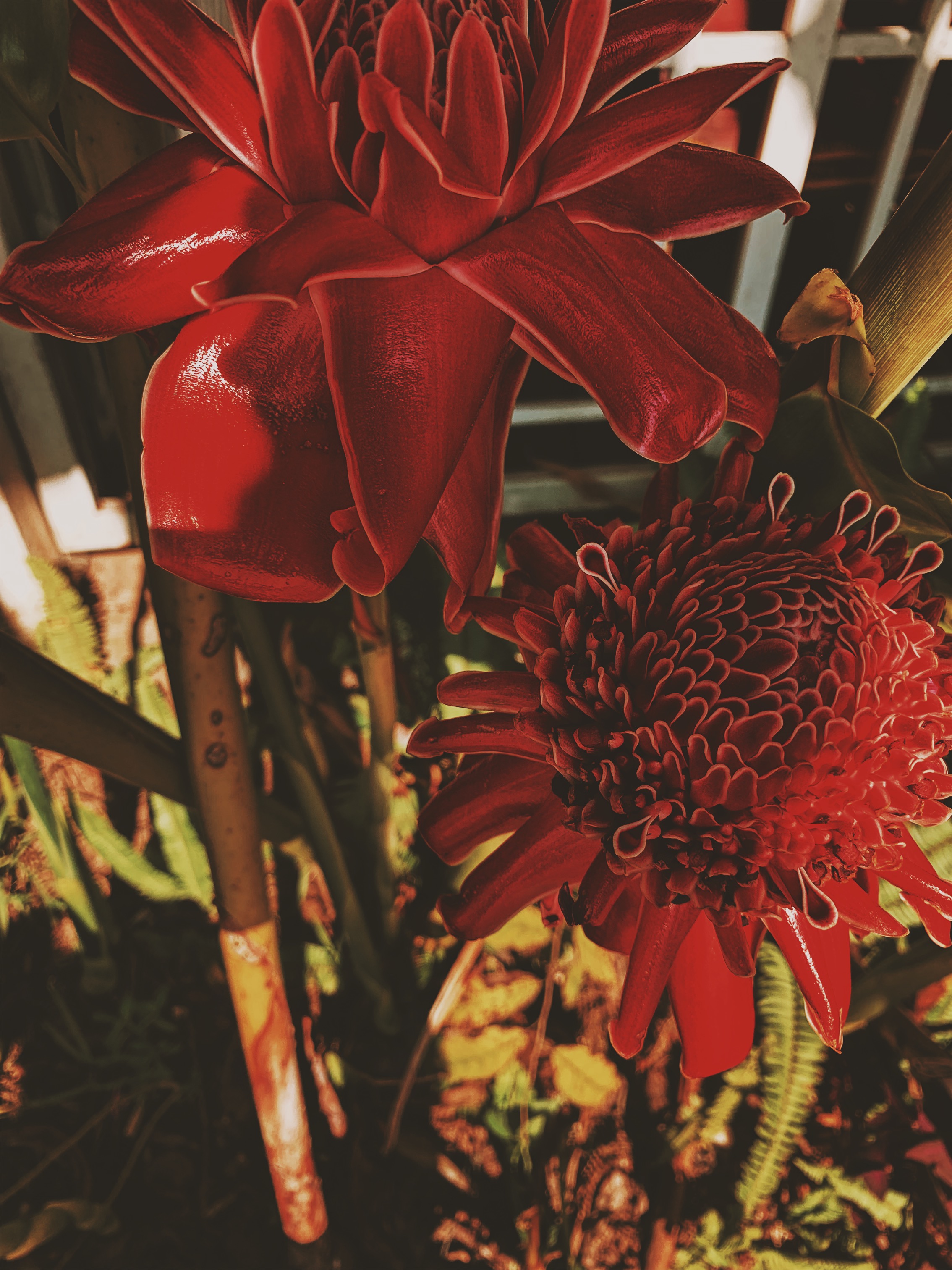 Processed with VSCO with c5 preset