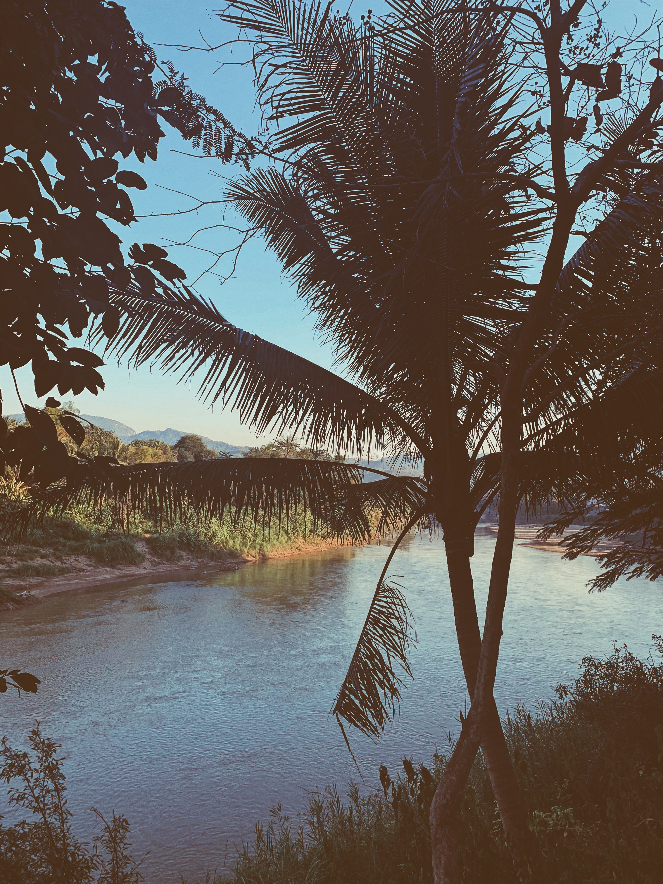Processed with VSCO with acg preset