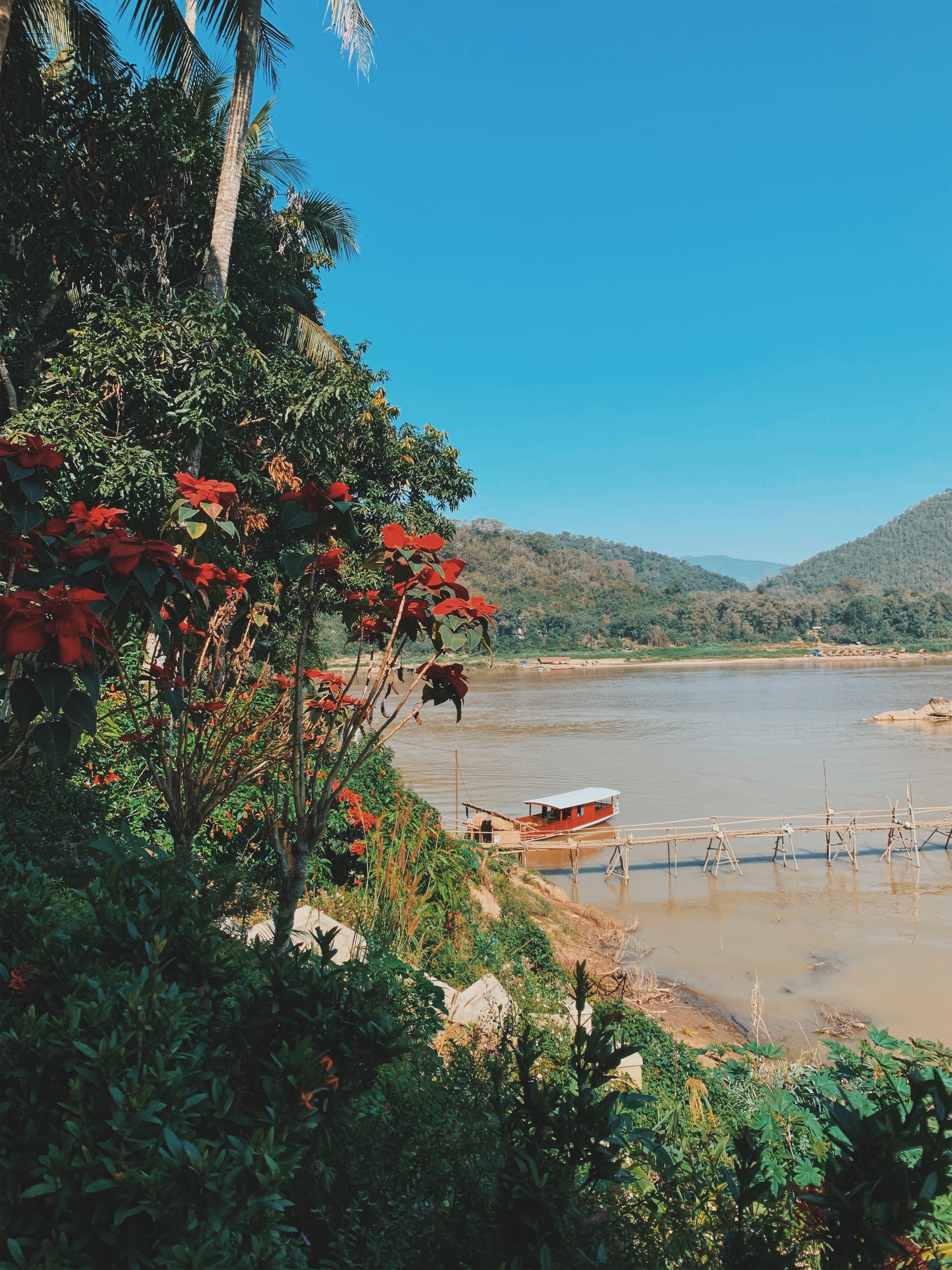 Processed with VSCO with c7 preset