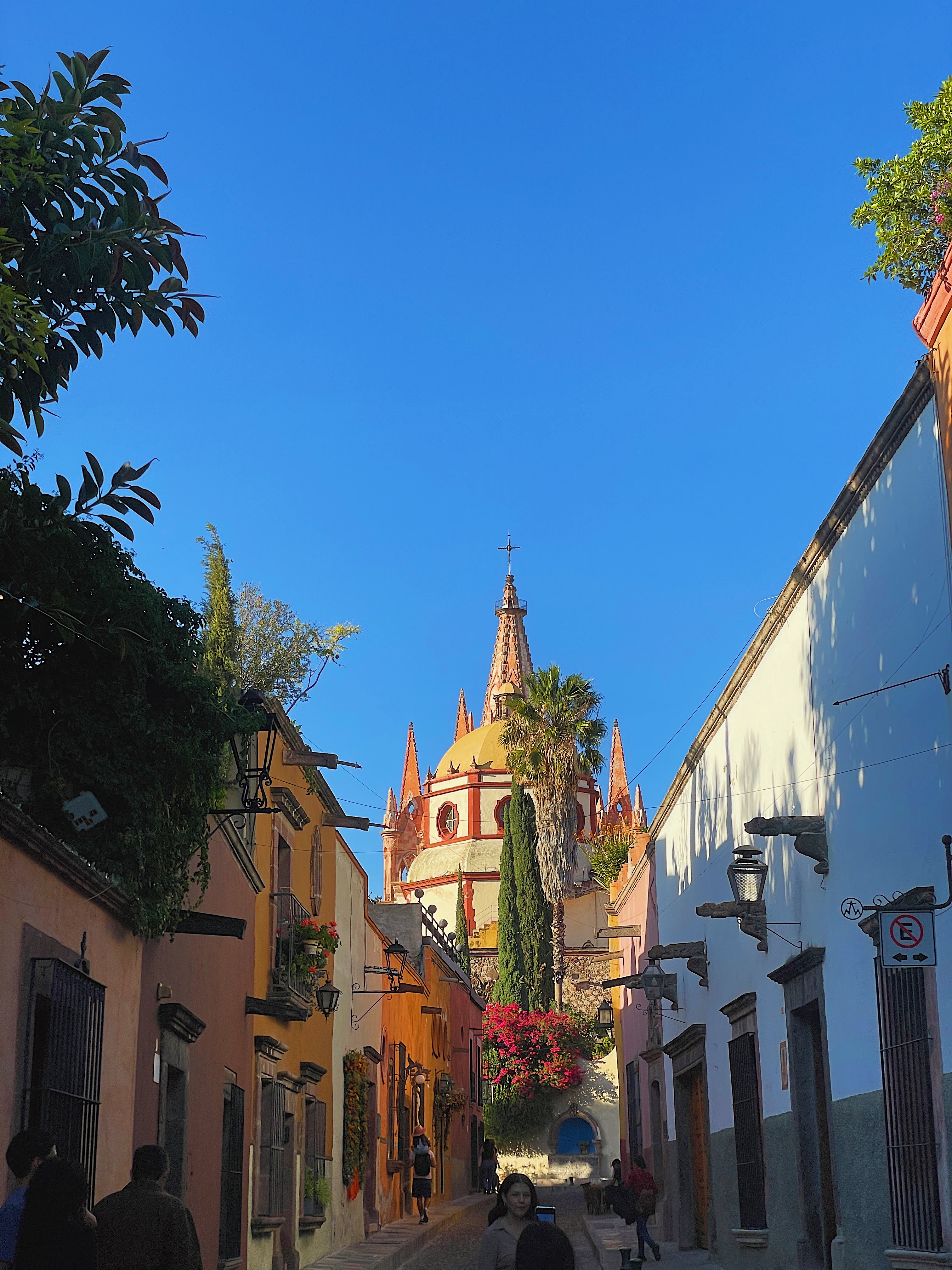 SAN MIGUEL DE ALLENDE MEXIKO visual data 6