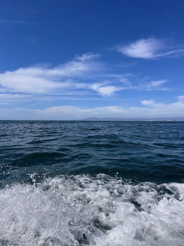 the indigo blue ocean with a bubble of white waves